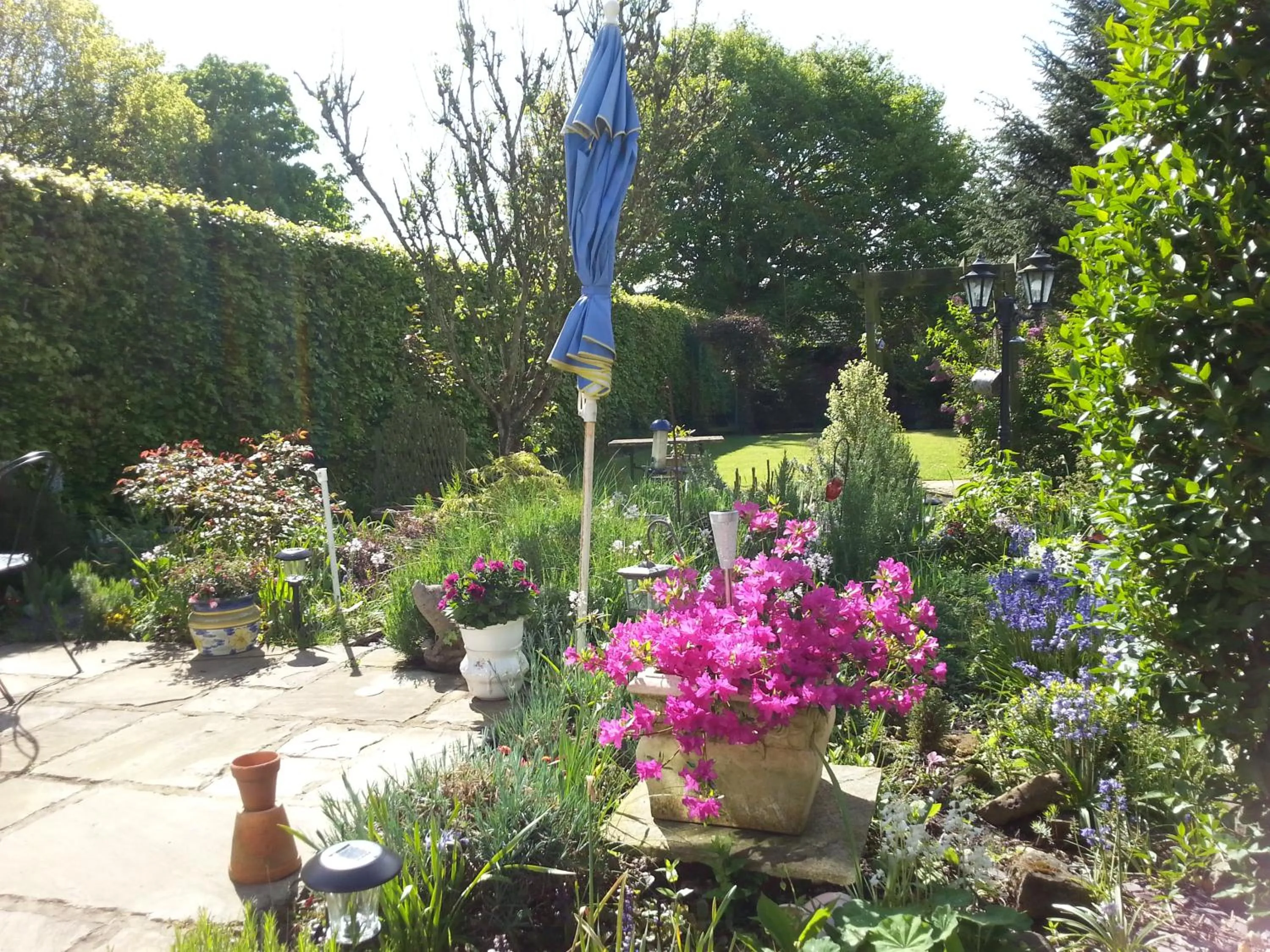 Garden in Ugiebrae House Bed & Breakfast