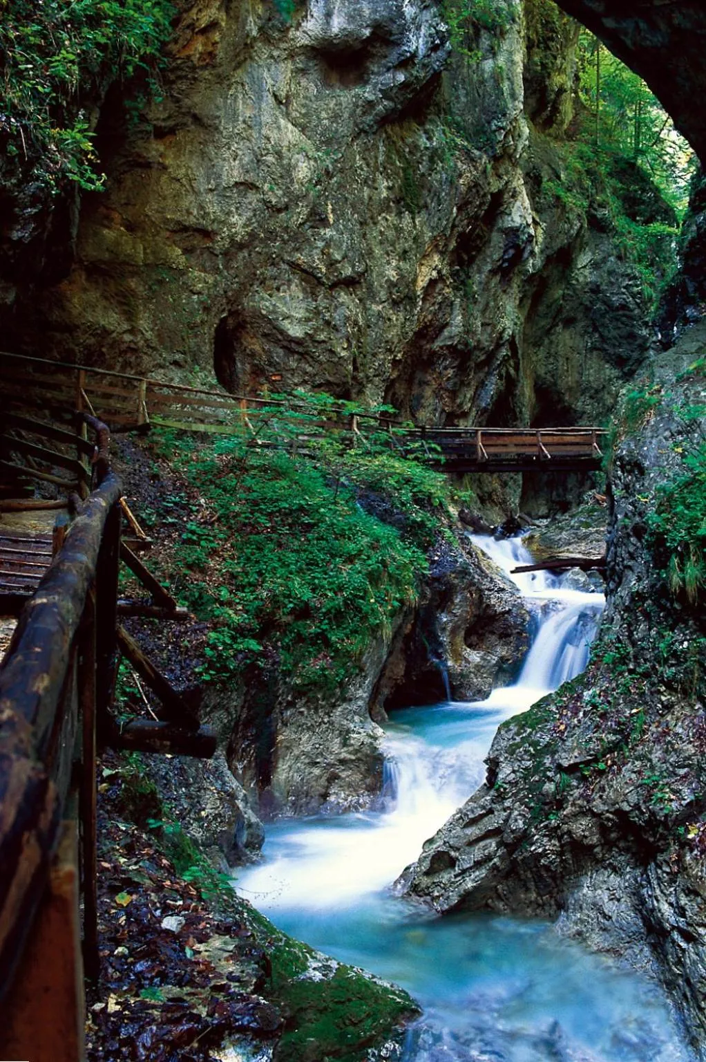 Area and facilities in Hotel Jenbacherhof B&B