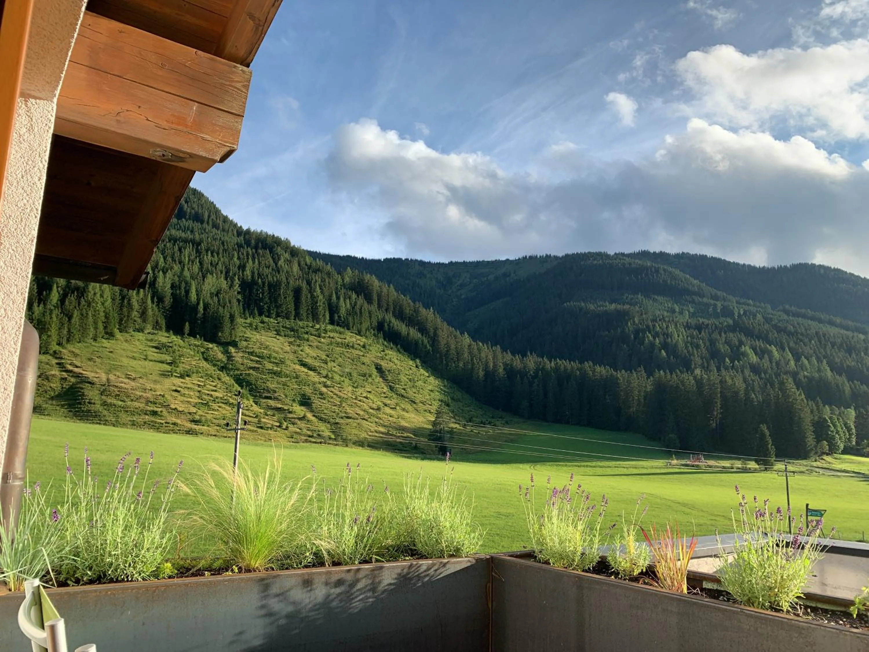 View (from property/room) in Die Filzmooserin - Apartments in Filzmoos, Filzmoos Card inklusive