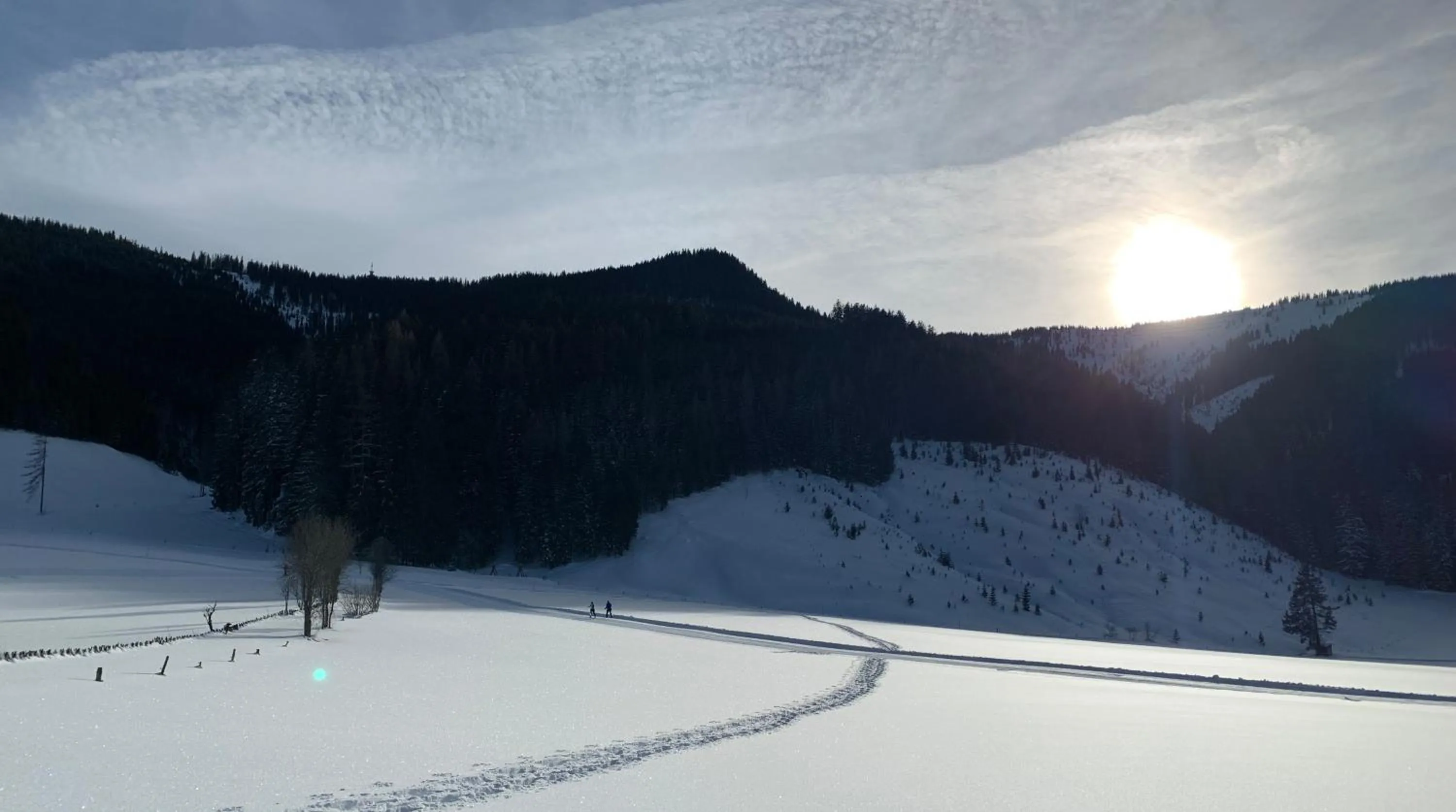 View (from property/room) in Die Filzmooserin - Apartments in Filzmoos, Filzmoos Card inklusive