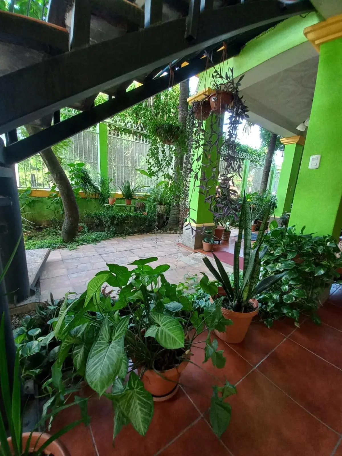 Garden in Hostal San Antonio