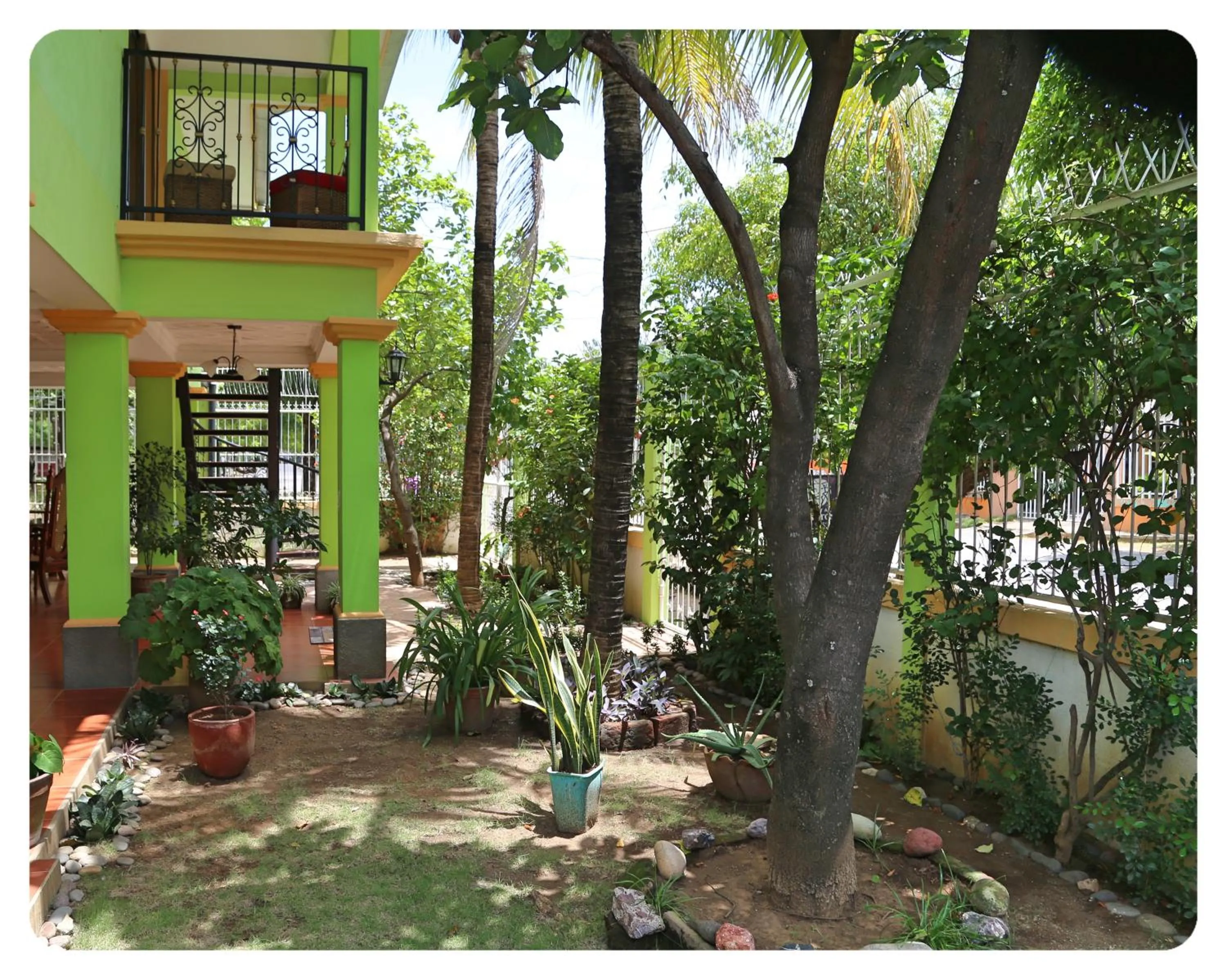 Garden in Hostal San Antonio