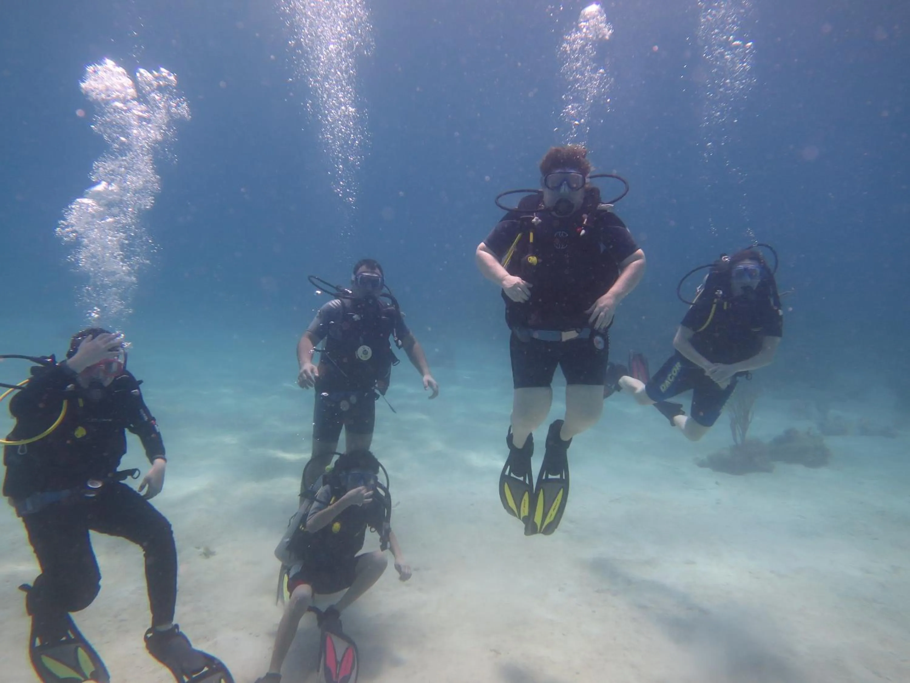 Diving in Bananarama Dive & Beach Resort