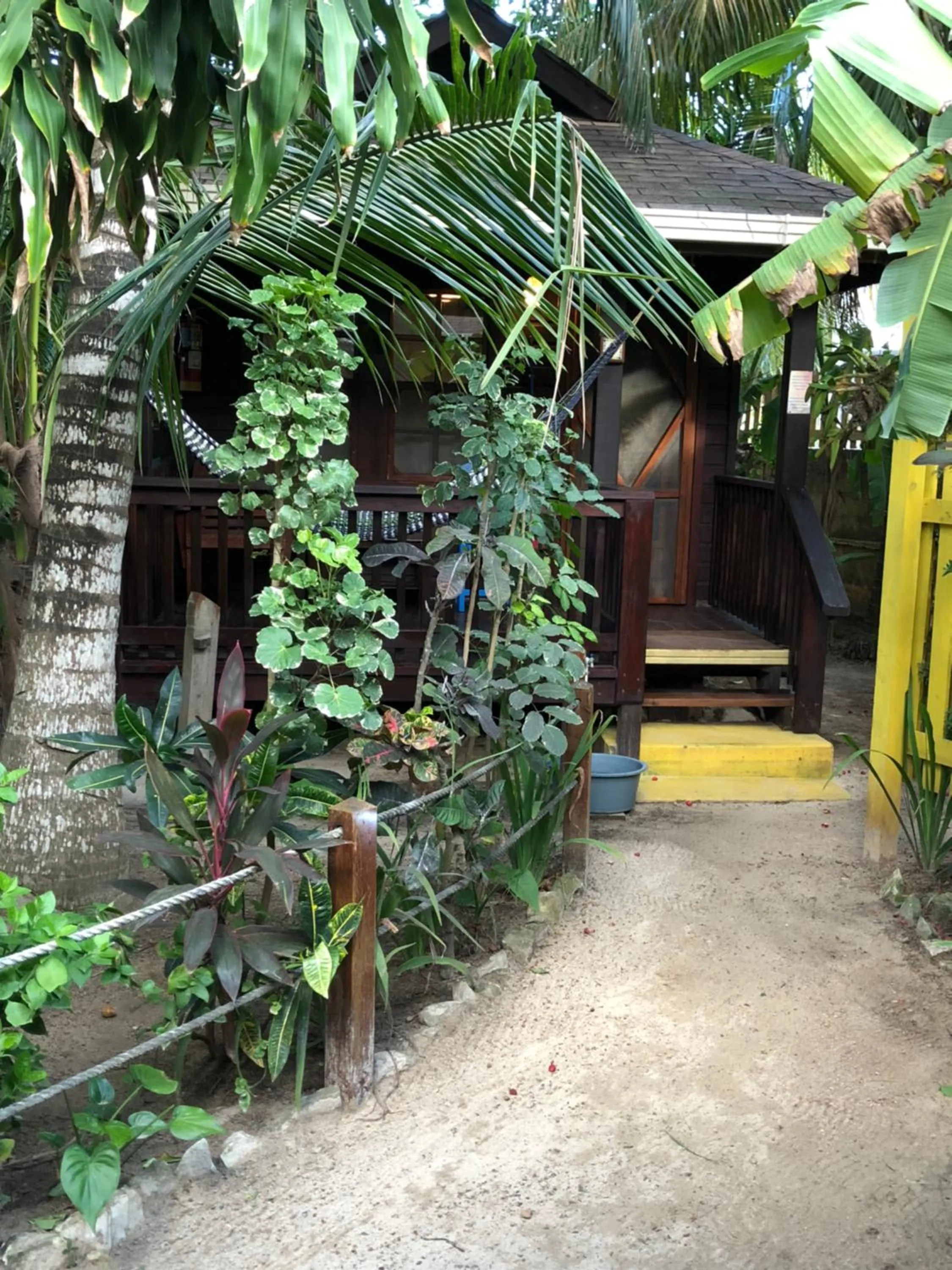 Garden in Bananarama Dive & Beach Resort