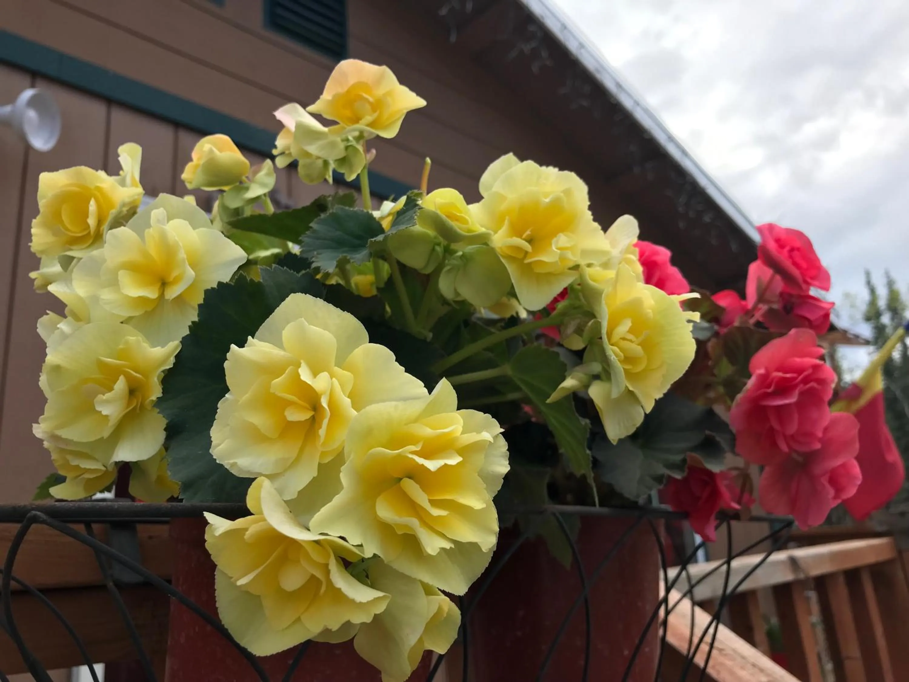 Patio in A Hyde Away Inn B&B