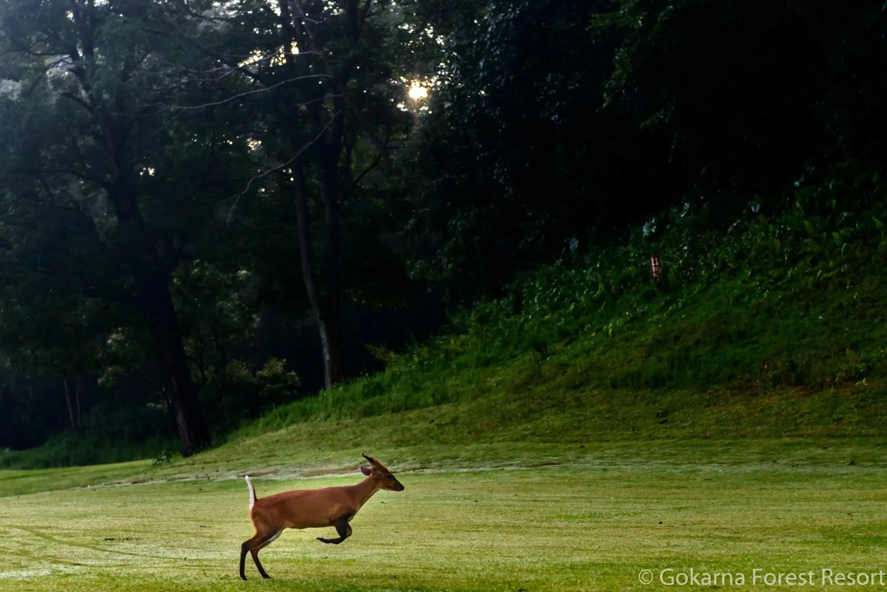 Landmark view in Gokarna Forest Resort Kathmandu Landmark view in Gokarna Forest Resort Kathmandu