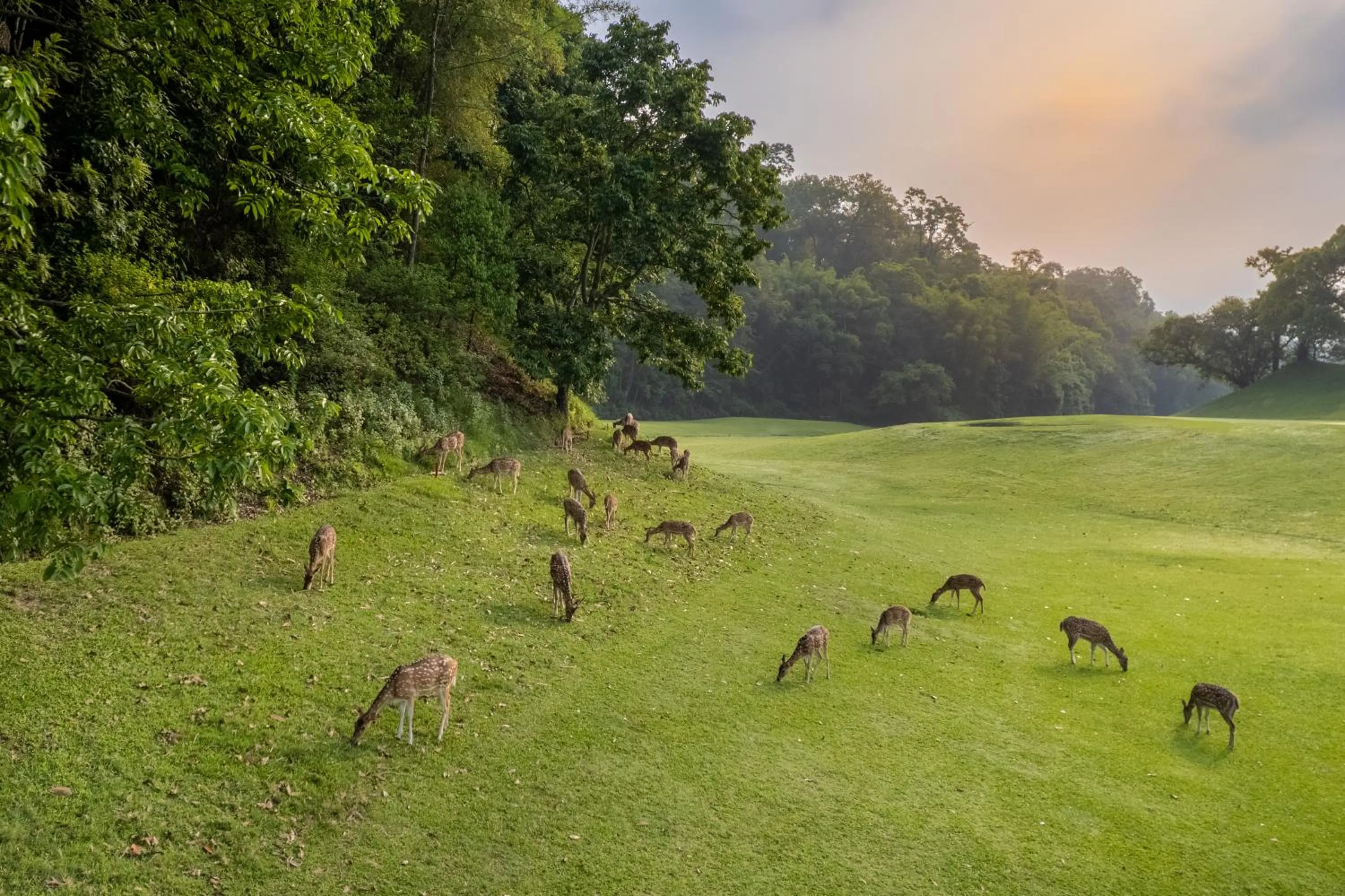 Natural landscape in Gokarna Forest Resort Kathmandu