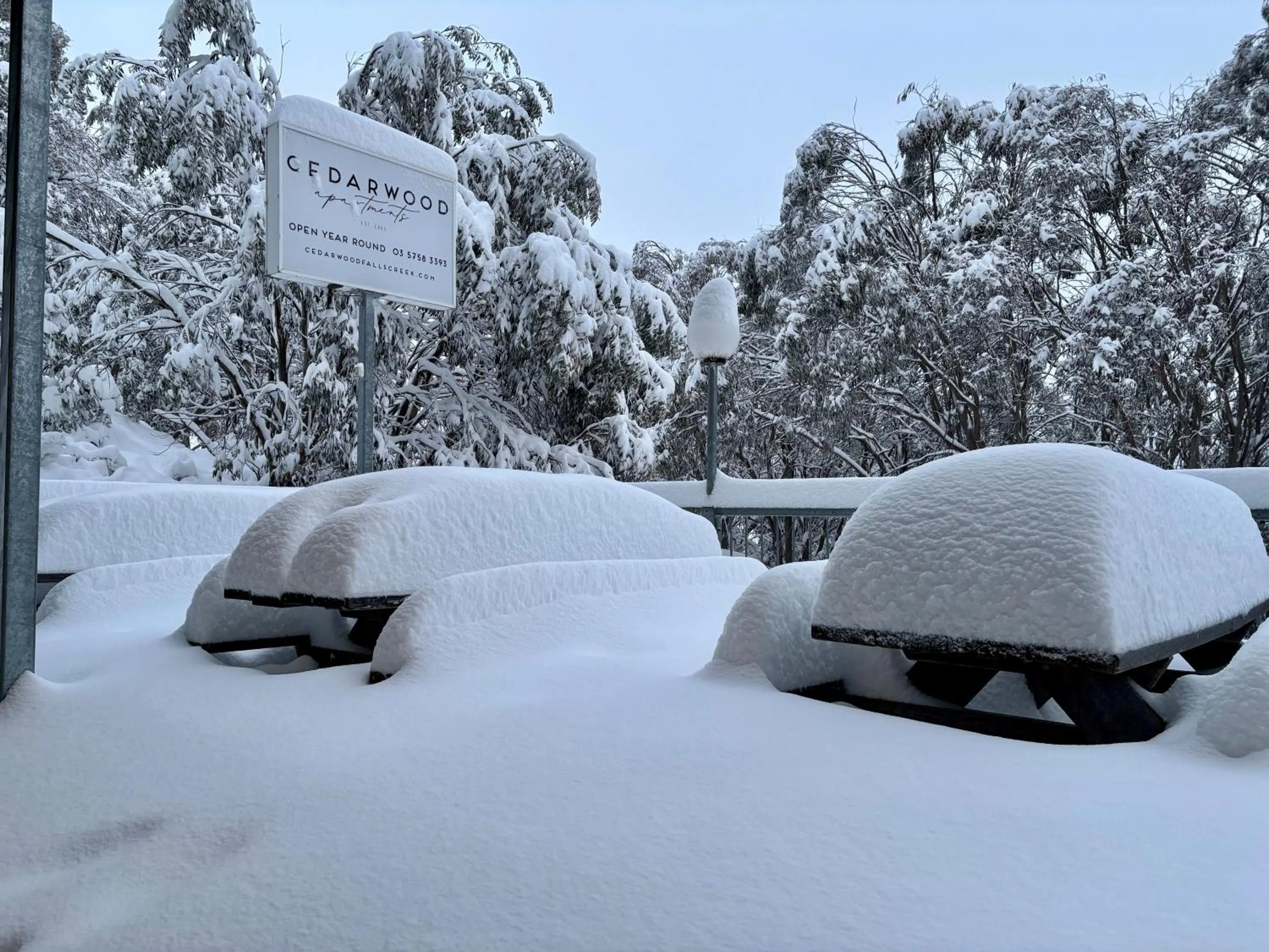 Cedarwood Apartments