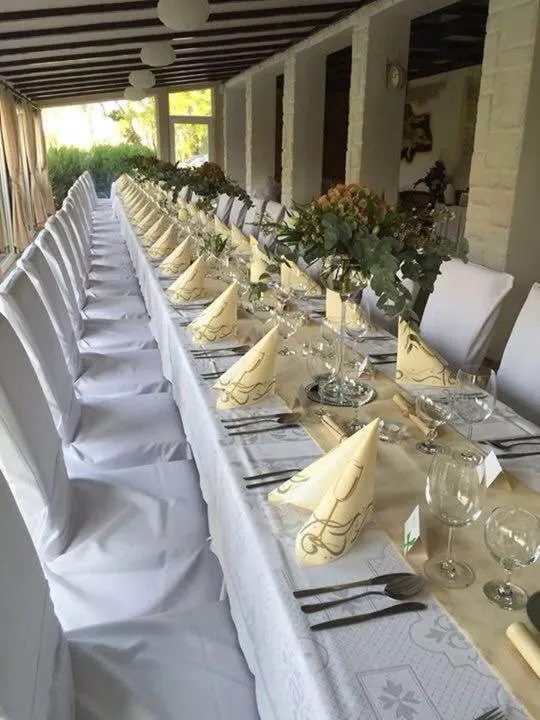 Banquet/Function facilities in Penzion Benatky