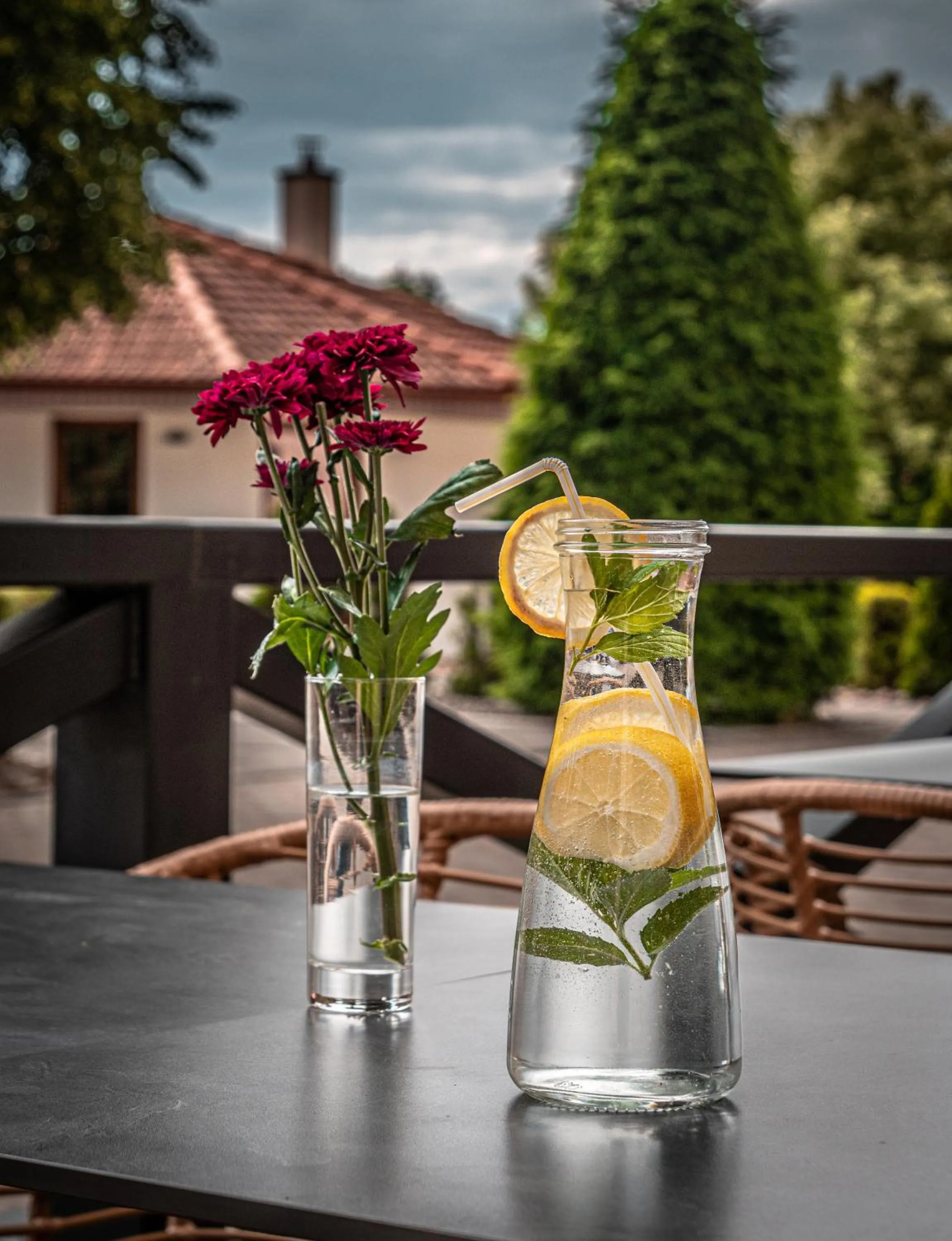 Balcony/Terrace in Hotel Novy Kastiel - Self check-in