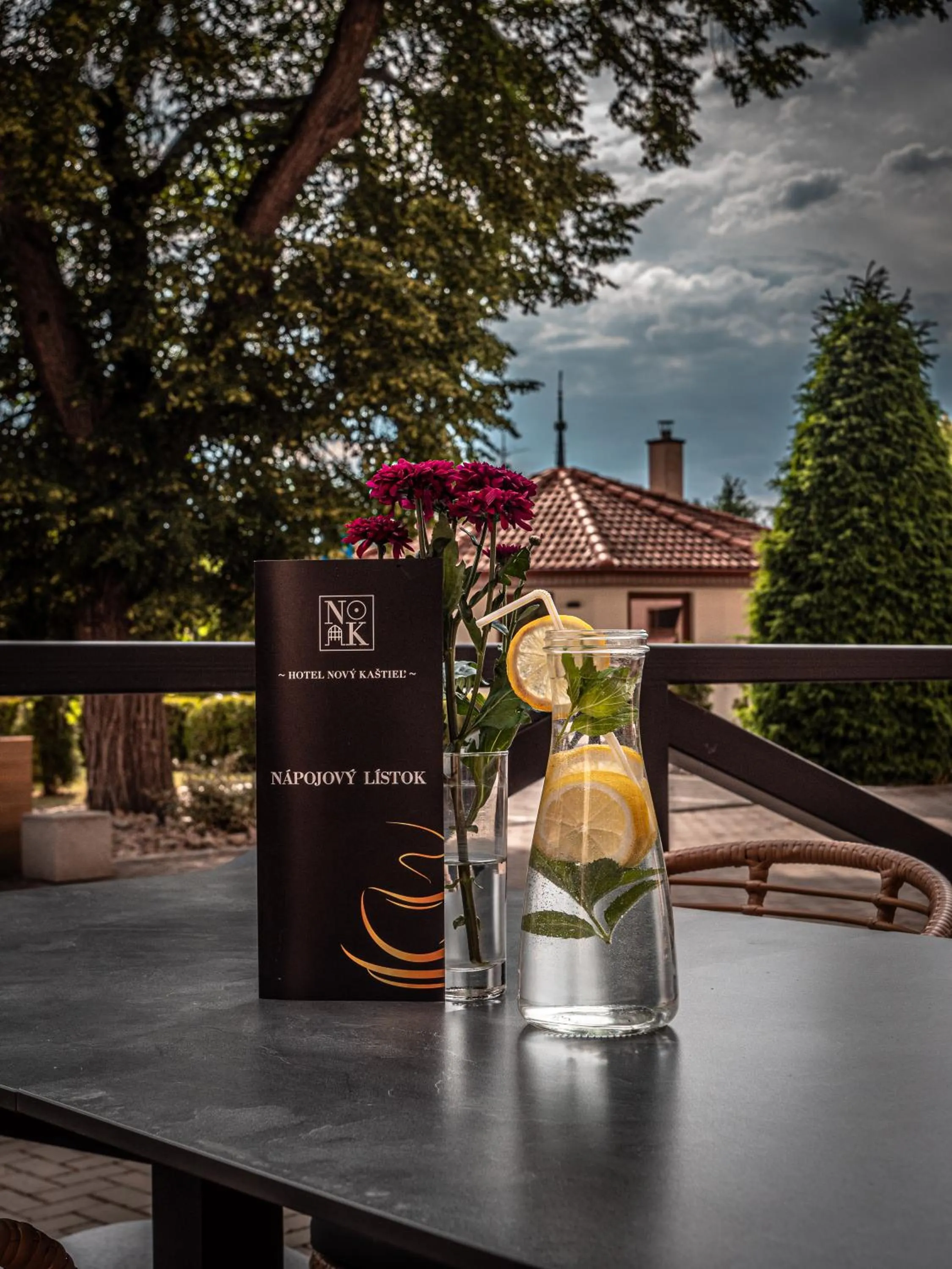 Balcony/Terrace in Hotel Novy Kastiel - Self check-in