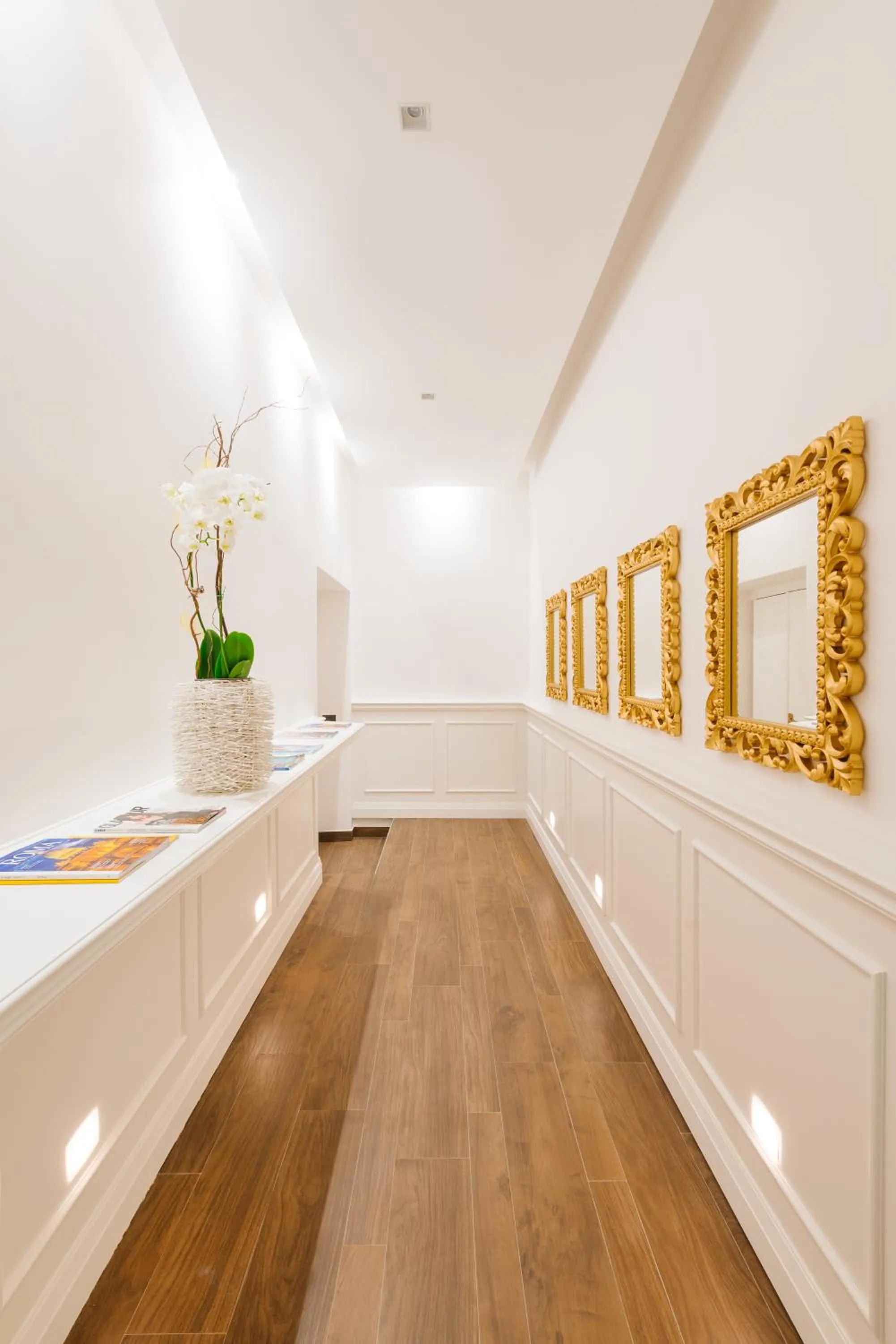 Area and facilities in DC Collection Spagna