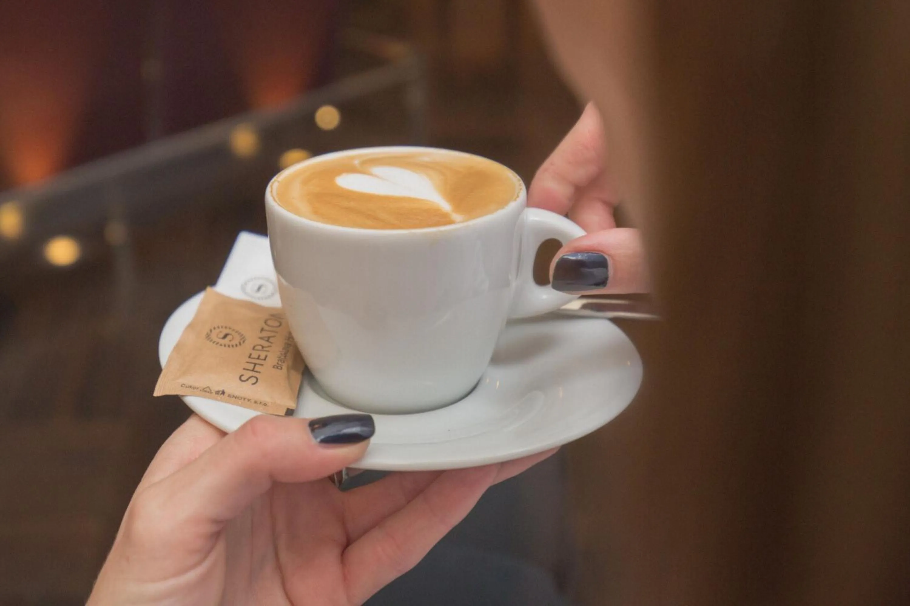 Lobby or reception in Sheraton Bratislava Hotel