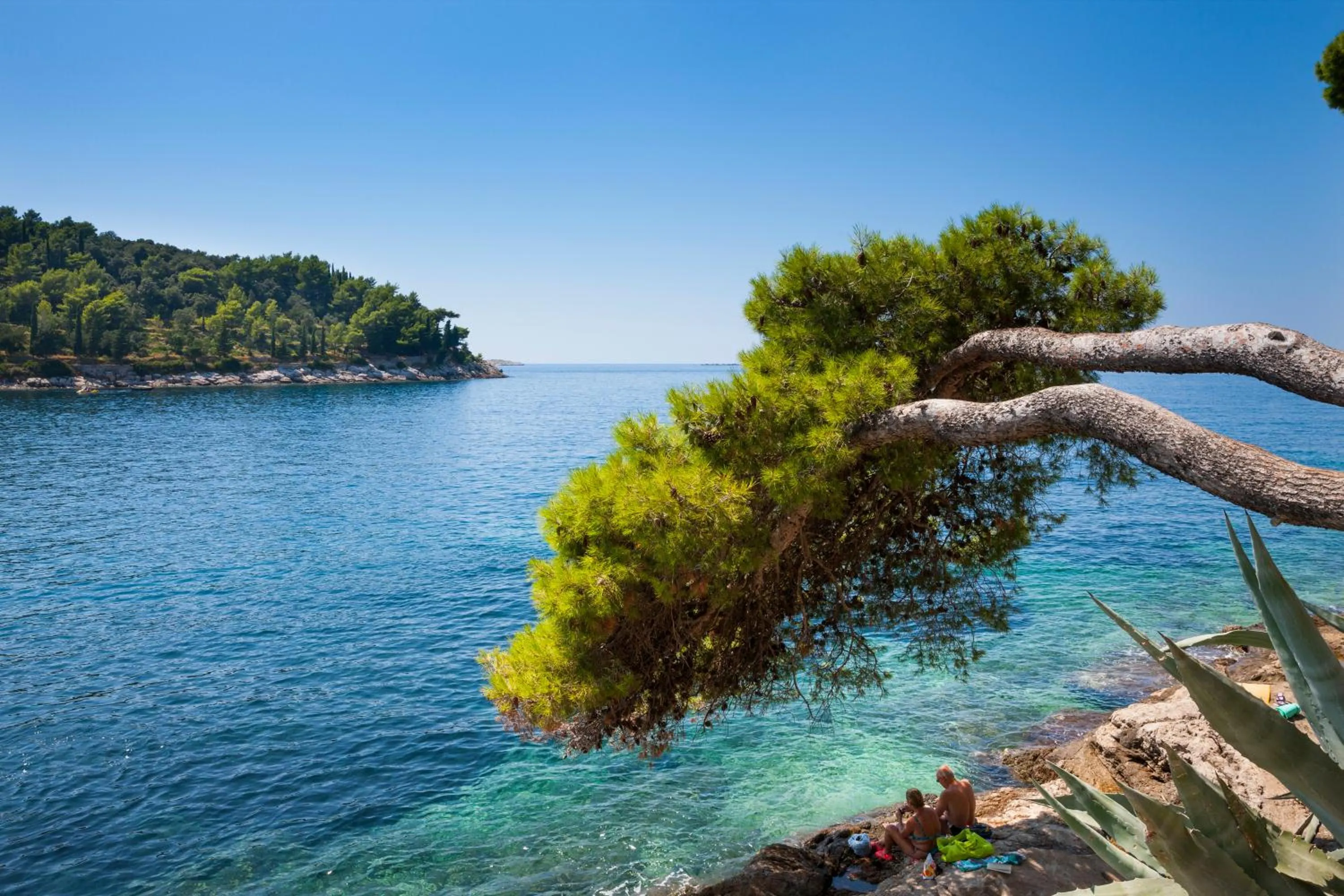 Area and facilities in Remisens Hotel Epidaurus-All inclusive