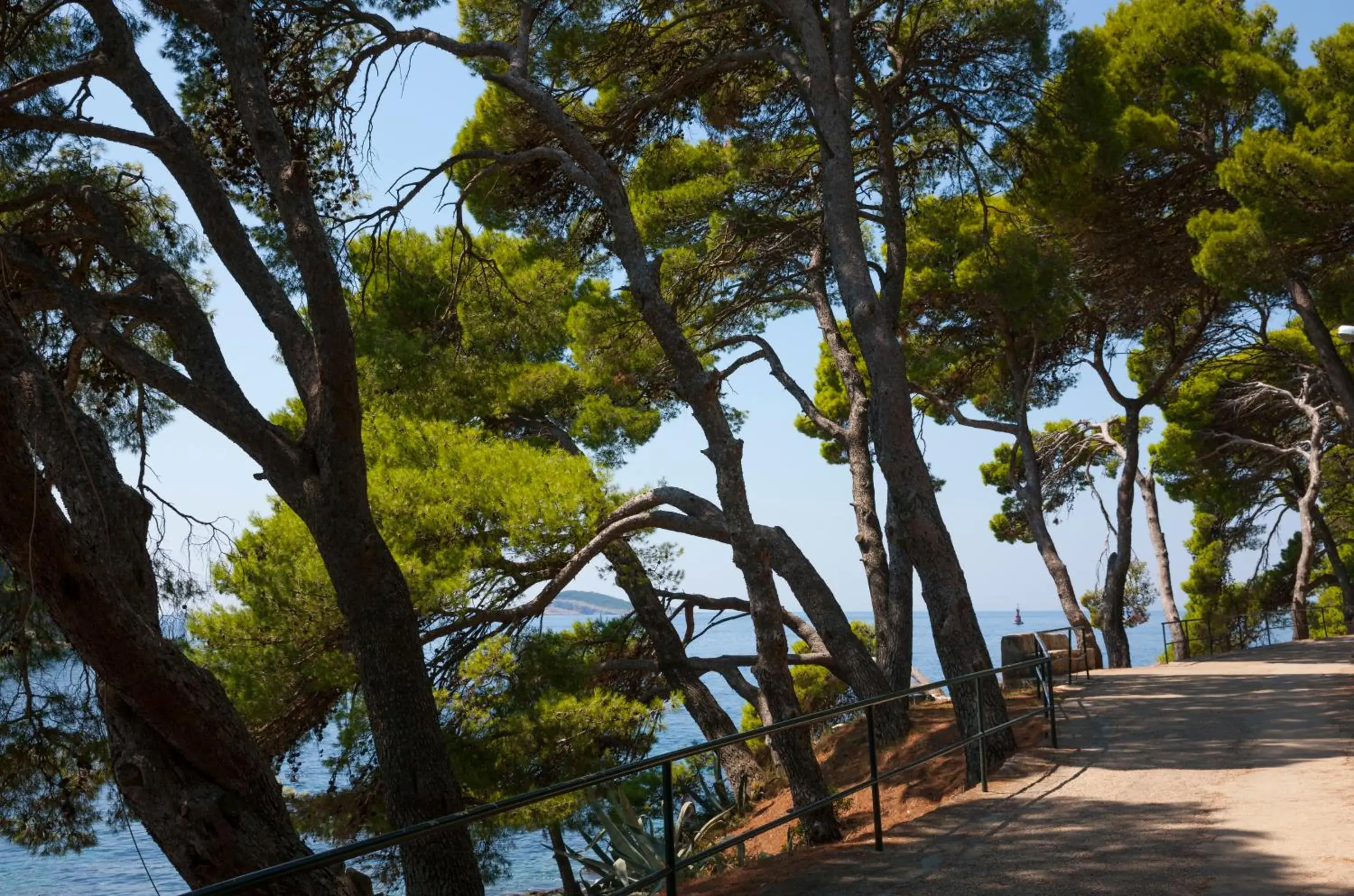 Area and facilities in Remisens Hotel Albatros-All inclusive Area and facilities in Remisens Hotel Albatros-All inclusive