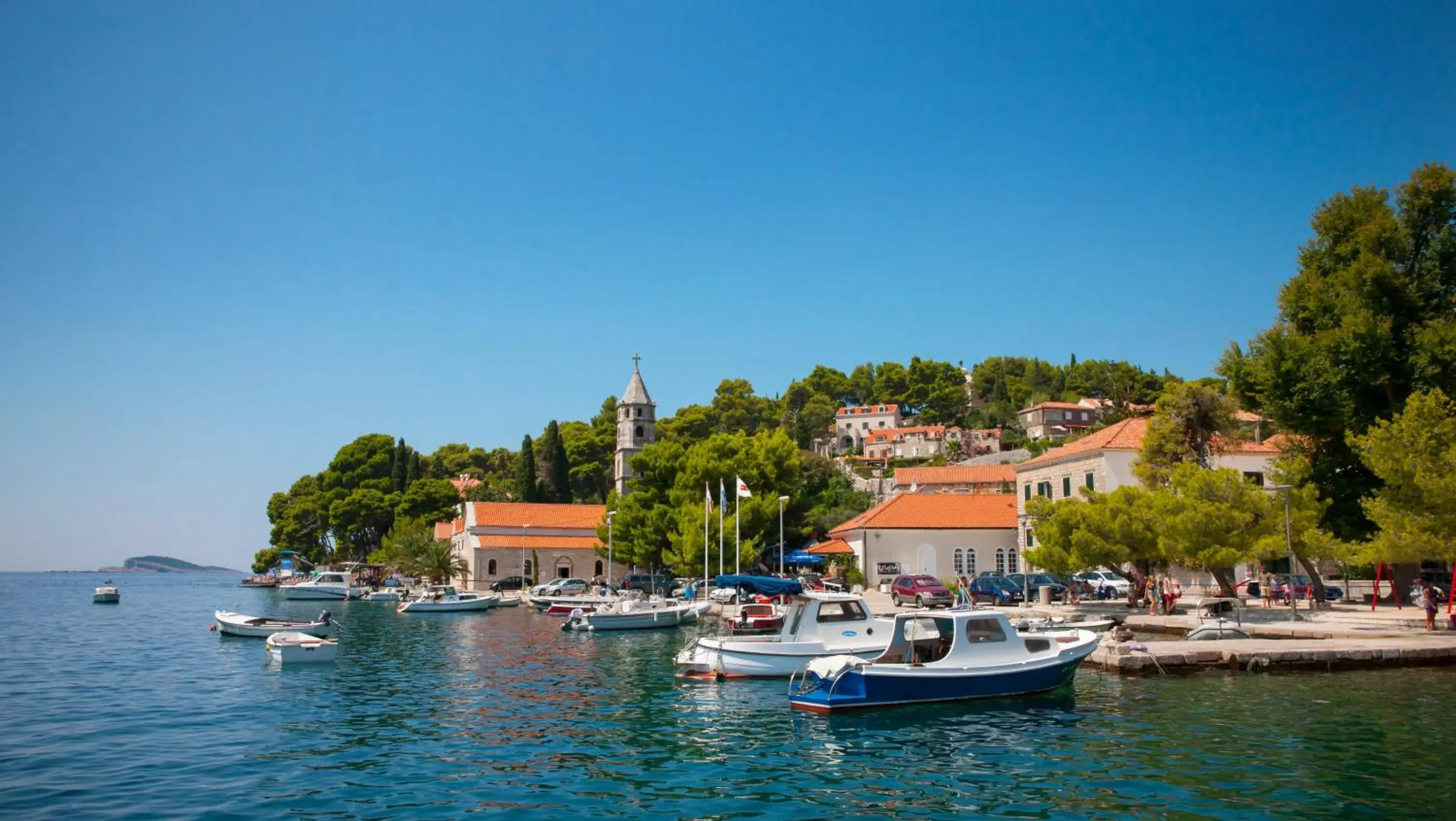 Area and facilities in Remisens Hotel Albatros-All inclusive Area and facilities in Remisens Hotel Albatros-All inclusive