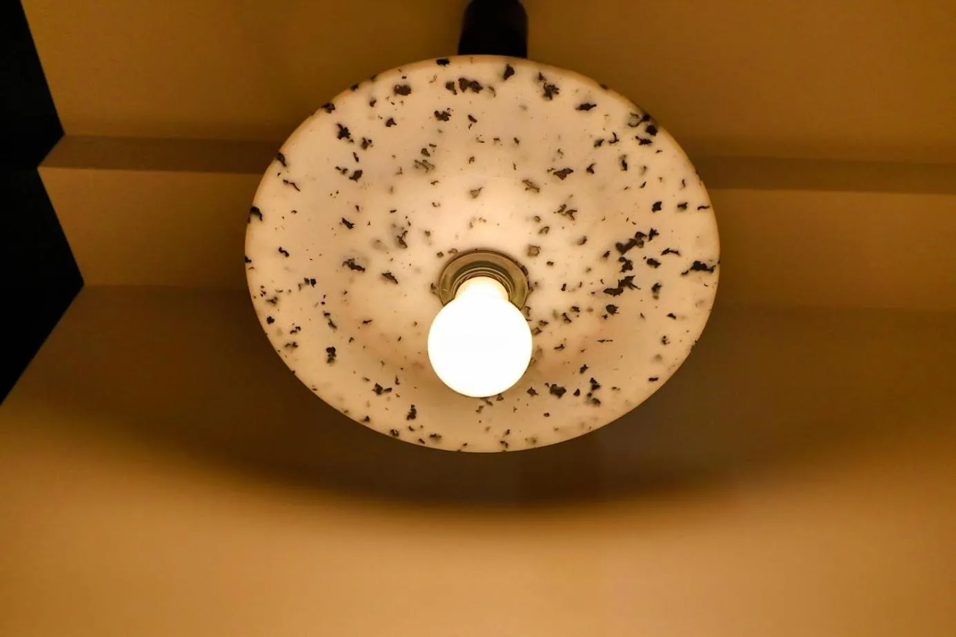 Decorative detail in Hotel Graziella