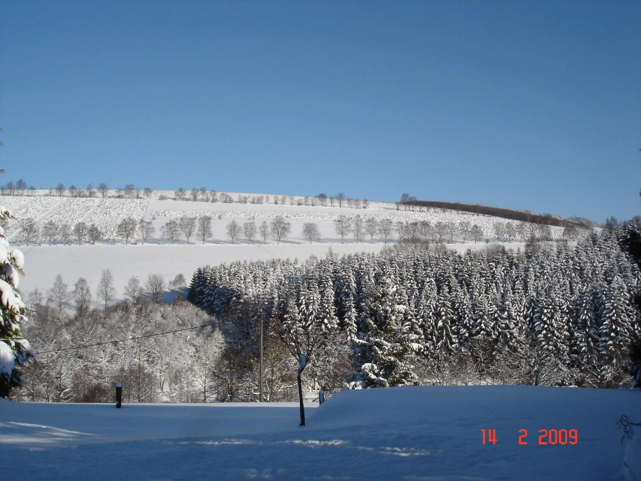 View (from property/room) in Apartment Albers