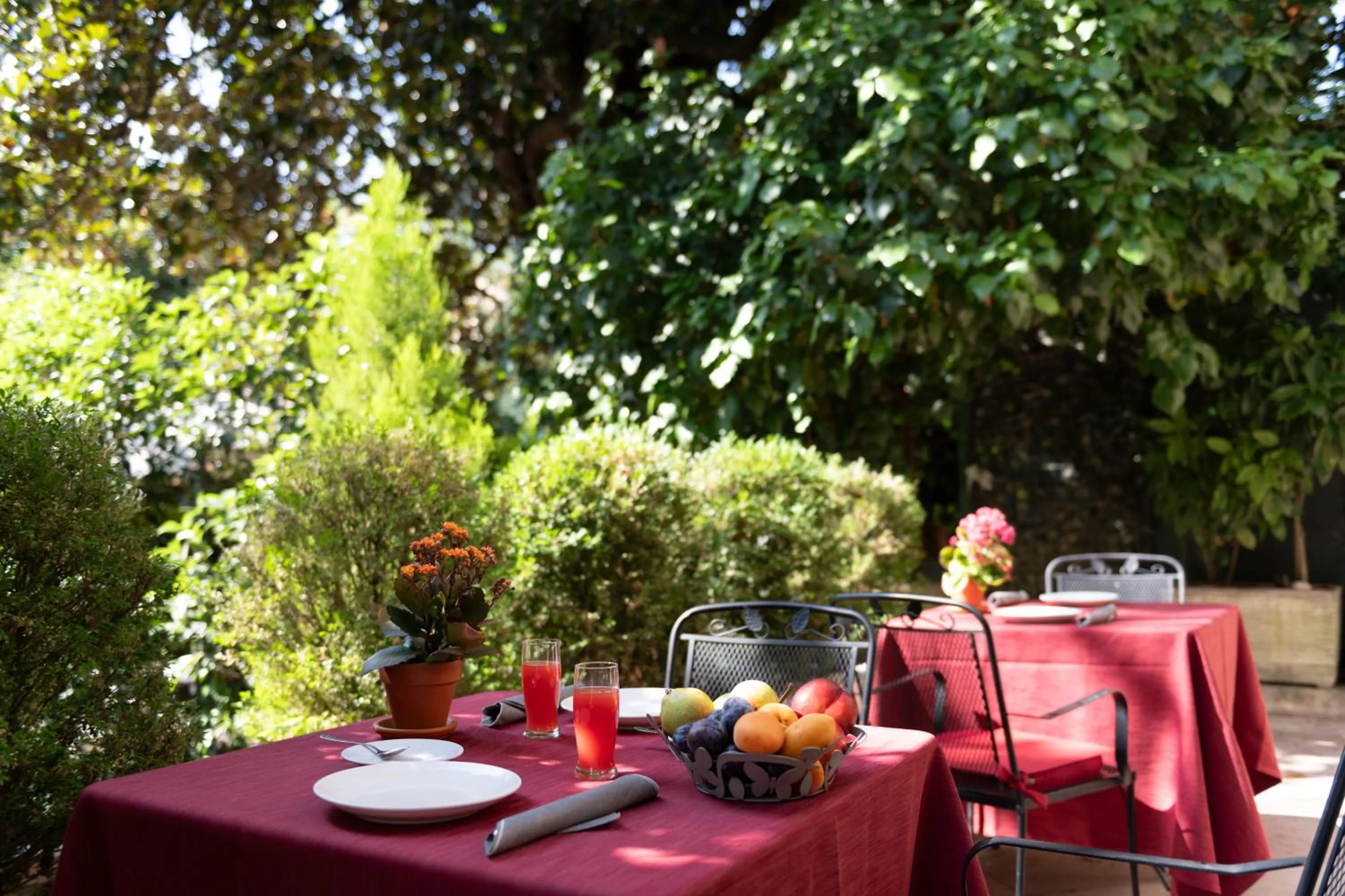 Patio in Hotel Cristallo