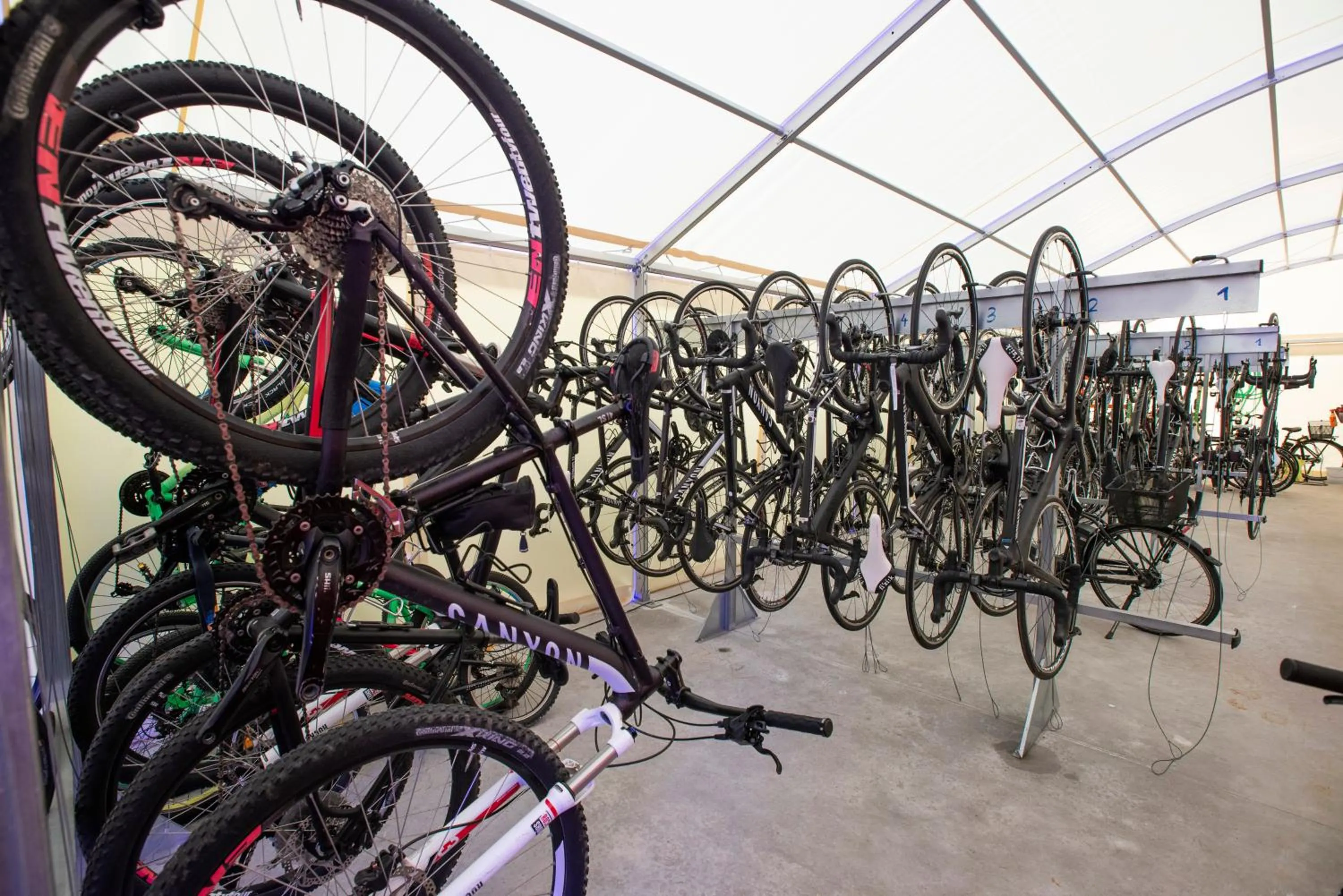 Cycling in Club del Sol Aparthotel