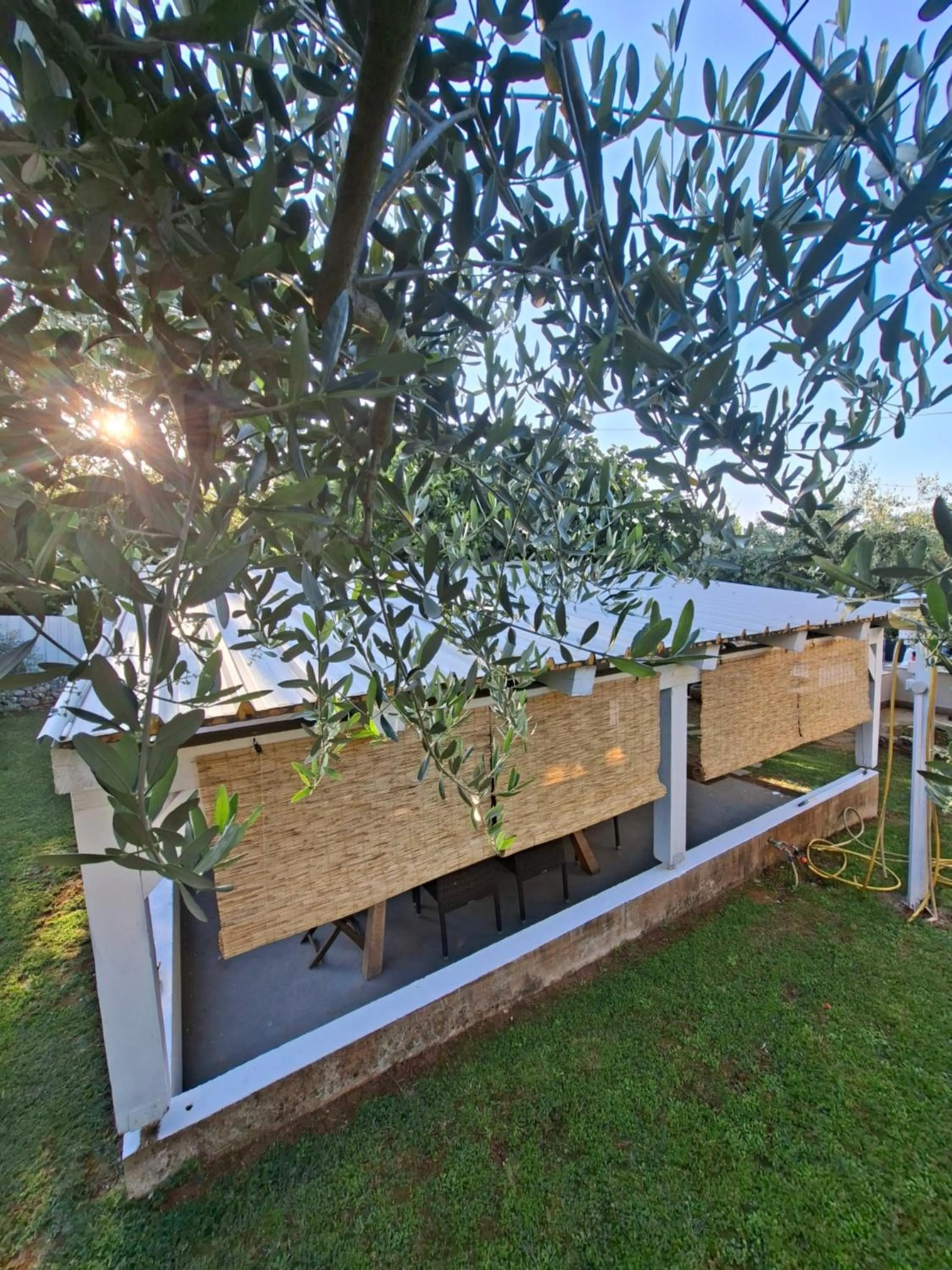 Garden in Martina Guest house-Rooms