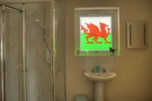 Bathroom in Bro Dafydd