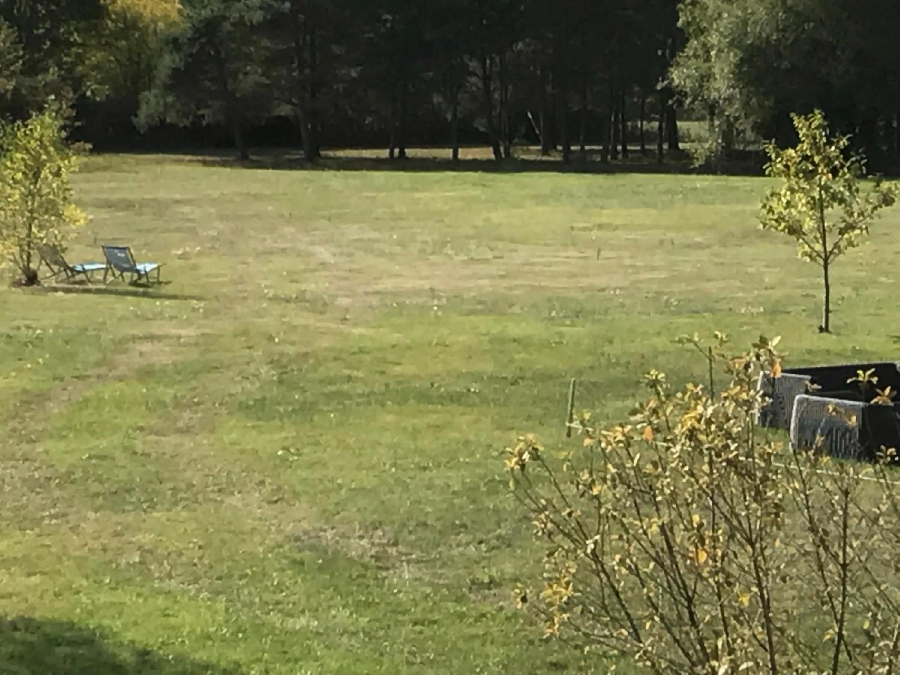 Property building in La Levraudière