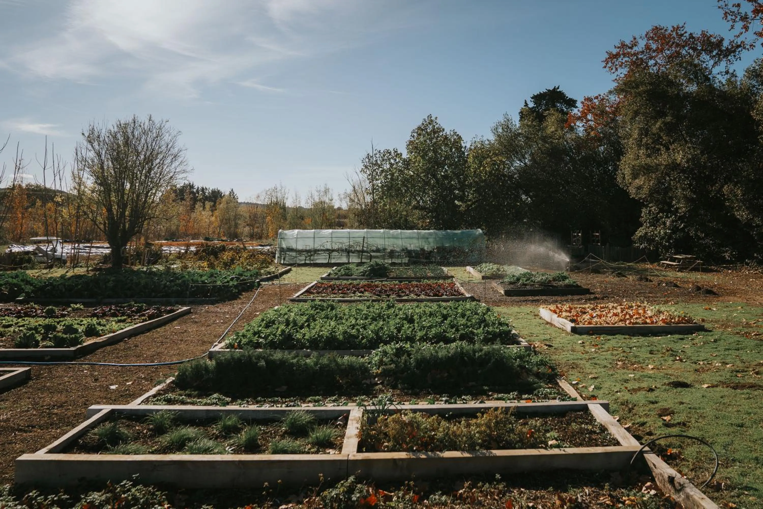 Garden in Château St Pierre de Serjac