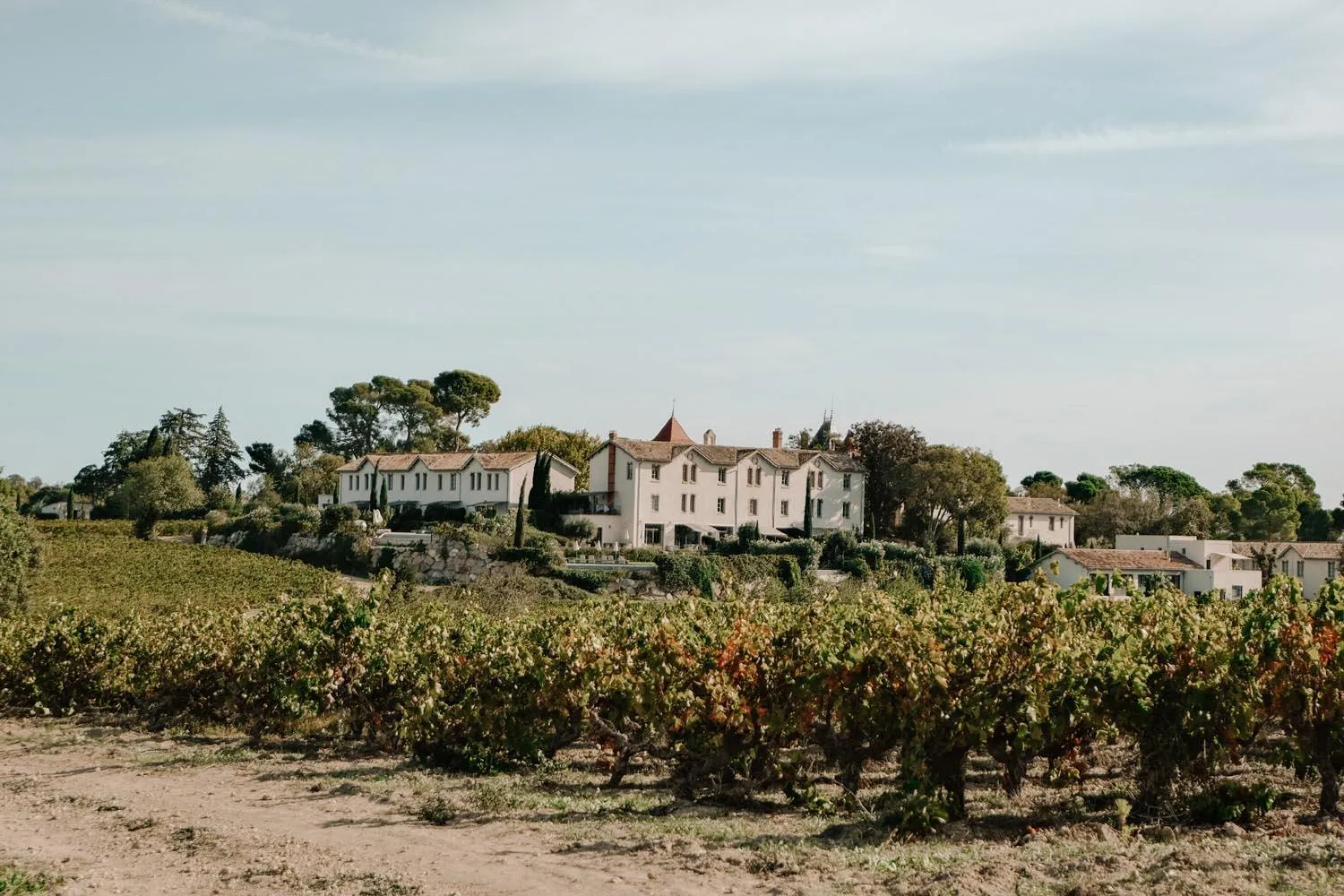 Natural landscape in Château St Pierre de Serjac