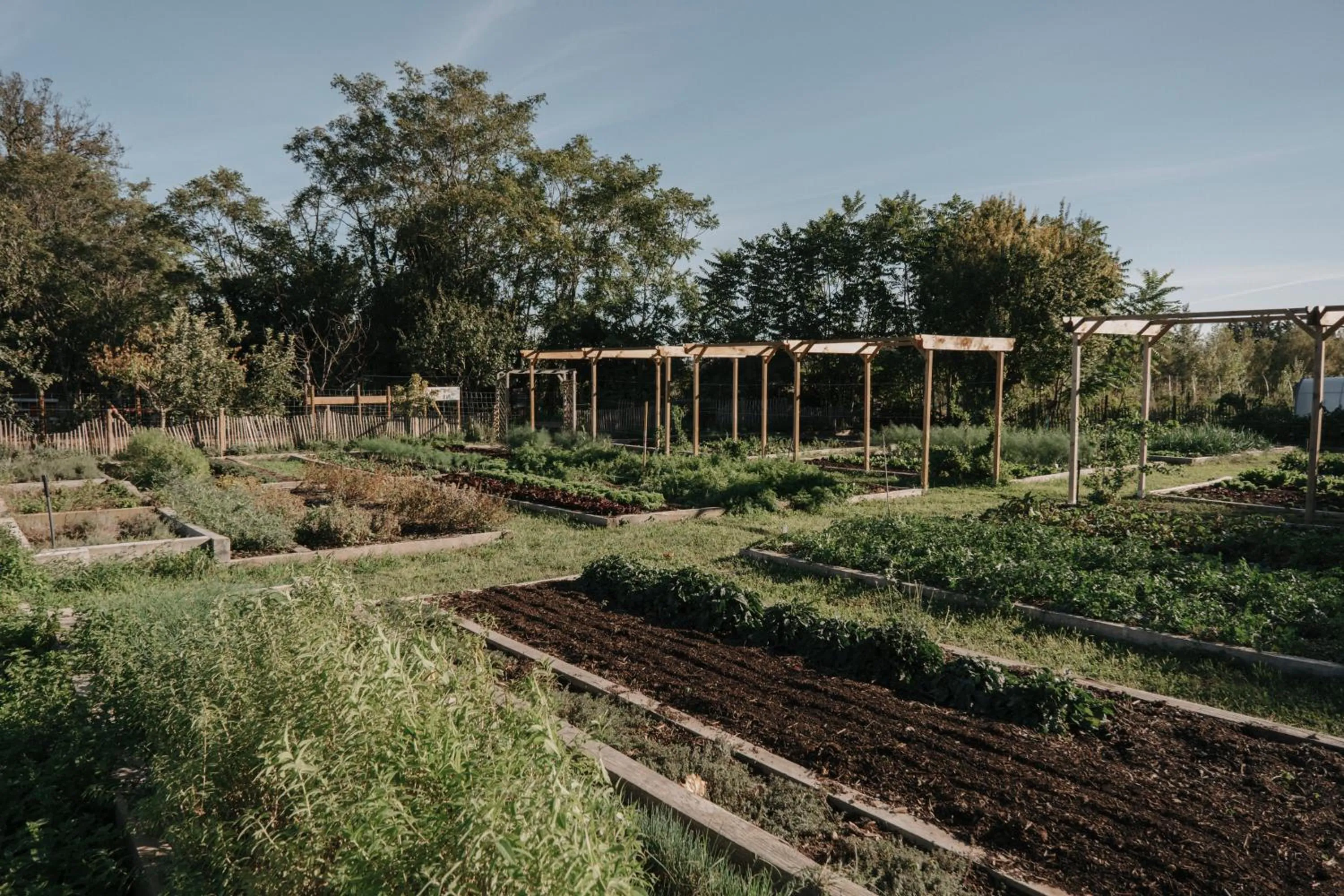 Garden in Château St Pierre de Serjac