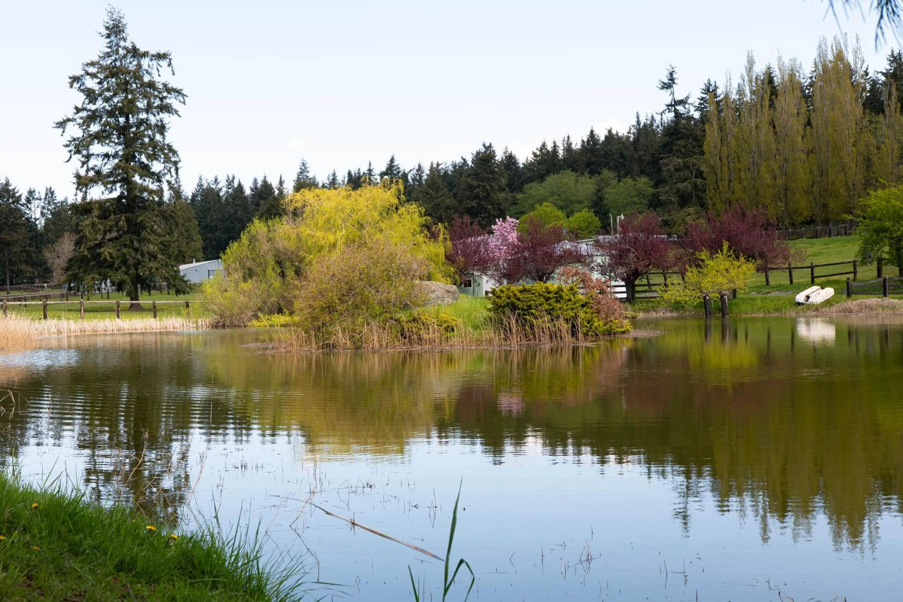 Wildwood Farm Bed & Breakfast