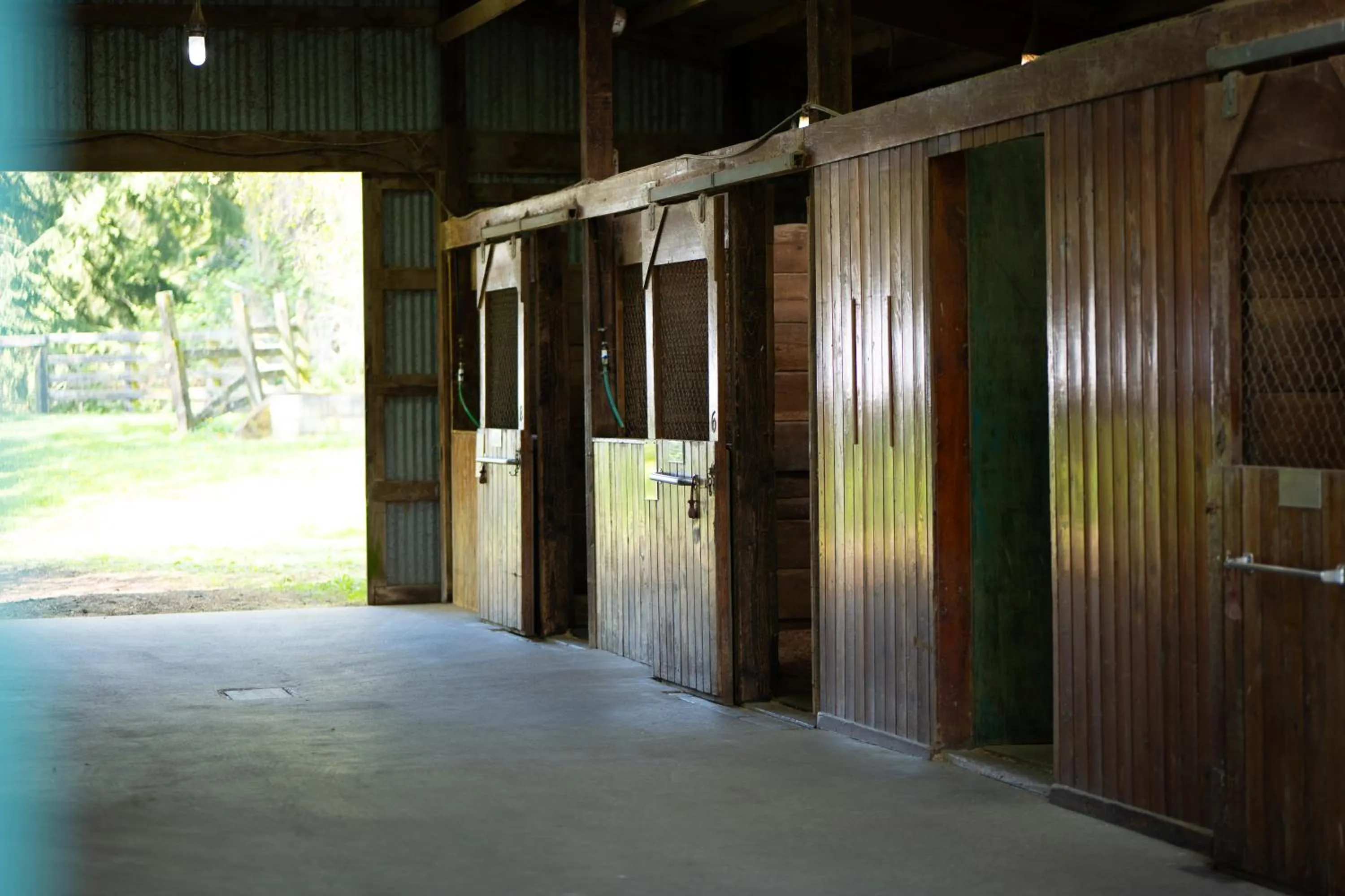 Wildwood Farm Bed & Breakfast