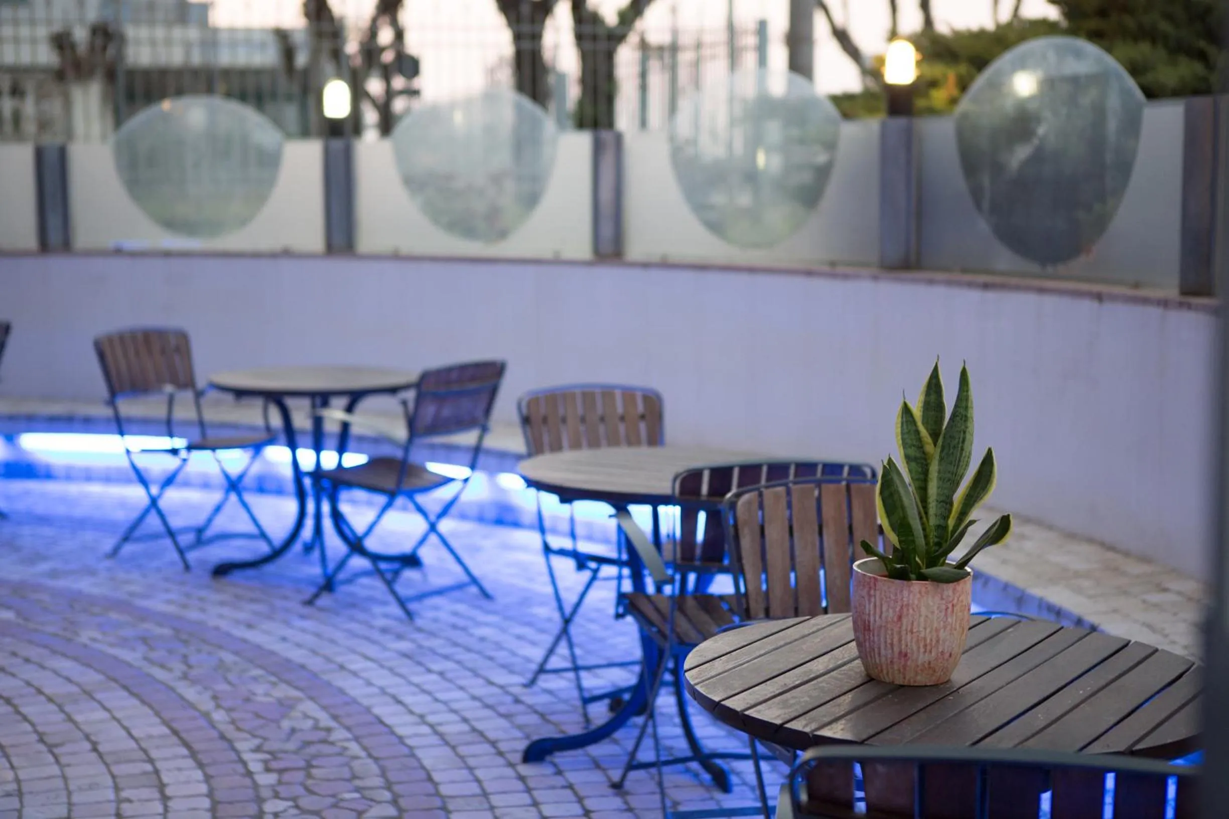 Garden in Amba Hotel