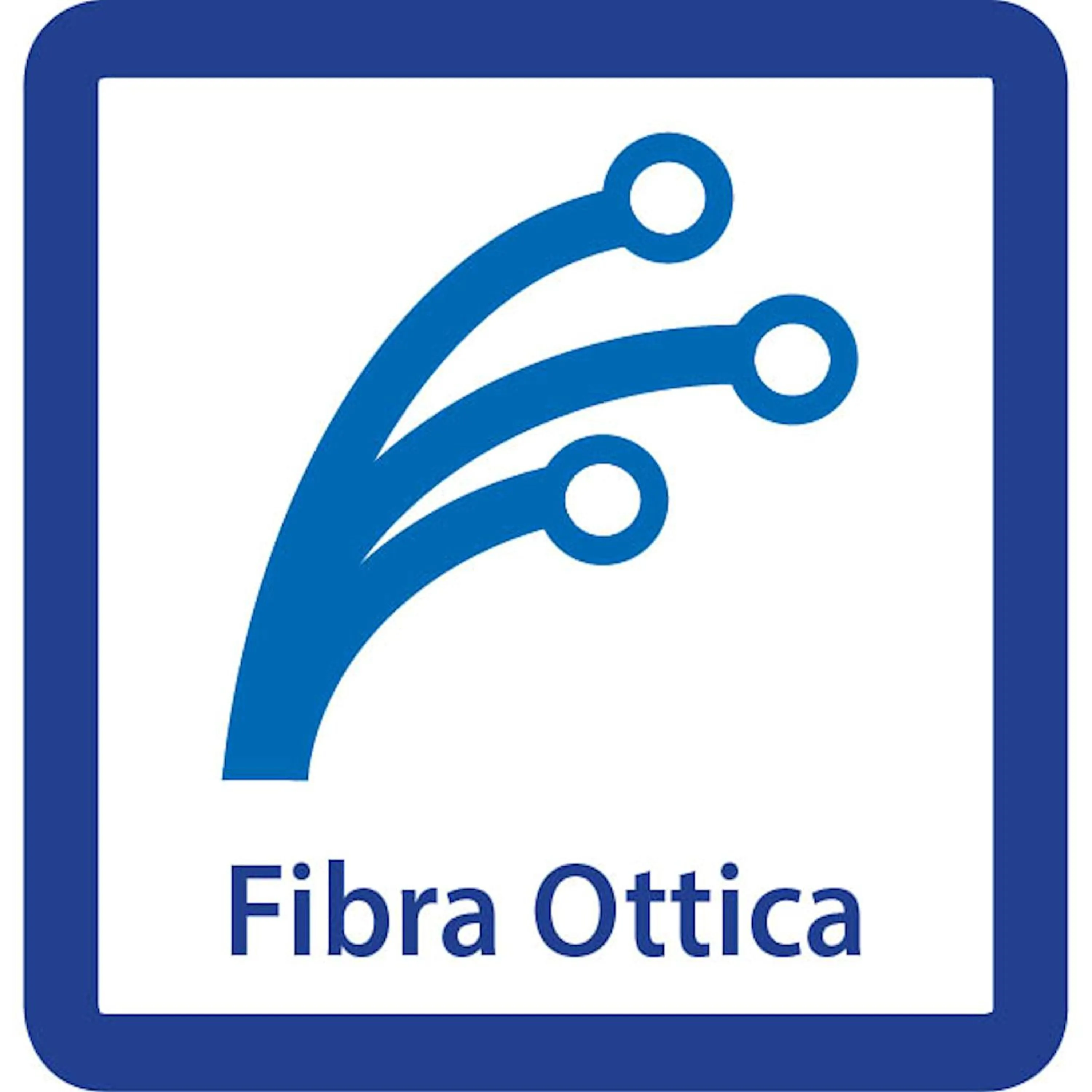 Activities in Hotel Ariane