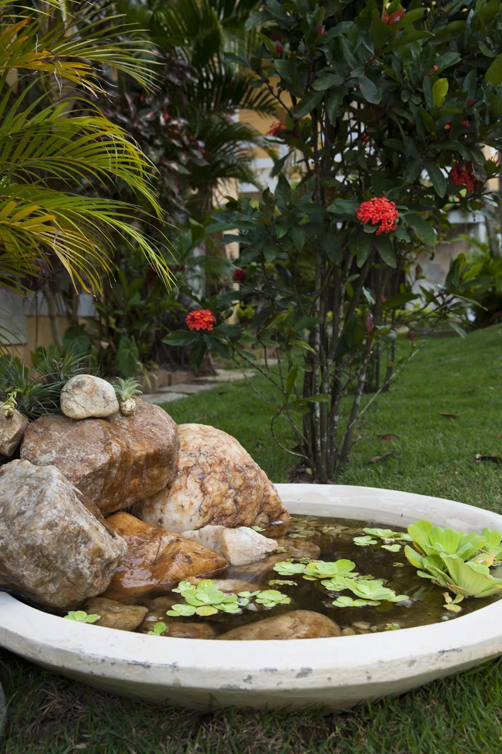 Garden in Auberge de la Langouste