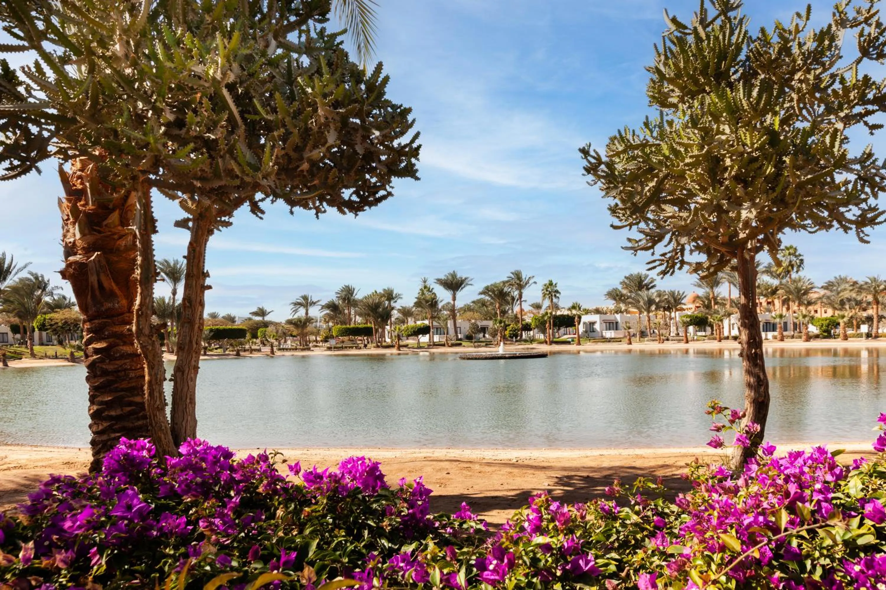 Natural landscape in Pharaoh Azur Resort