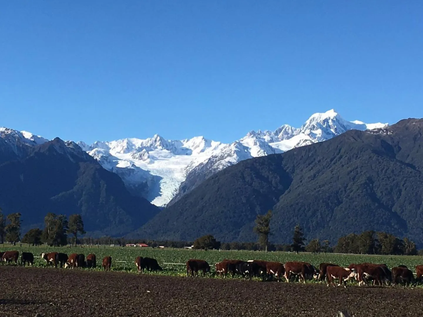Mountain view in Sunset Motel