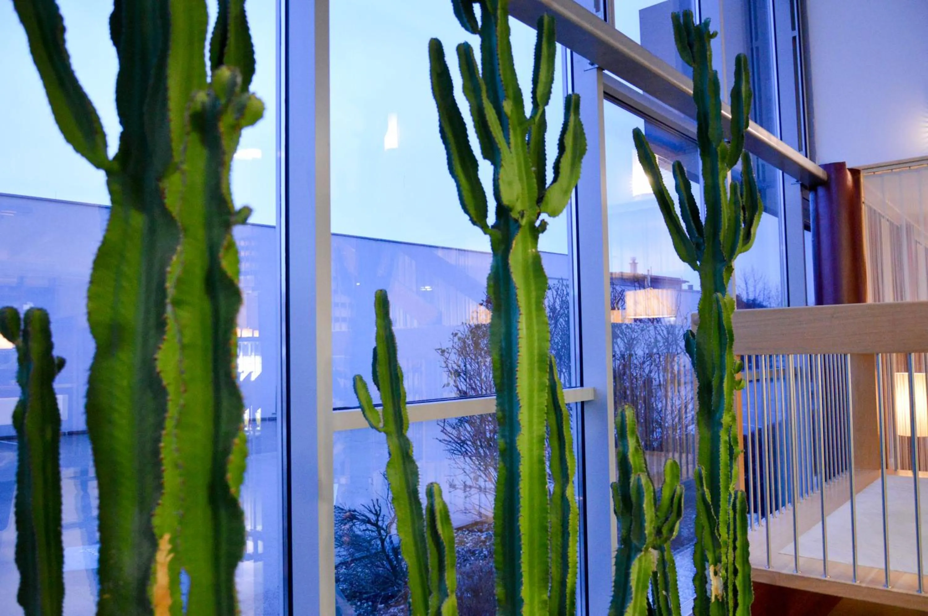 Lobby or reception in Hotel Römerhof