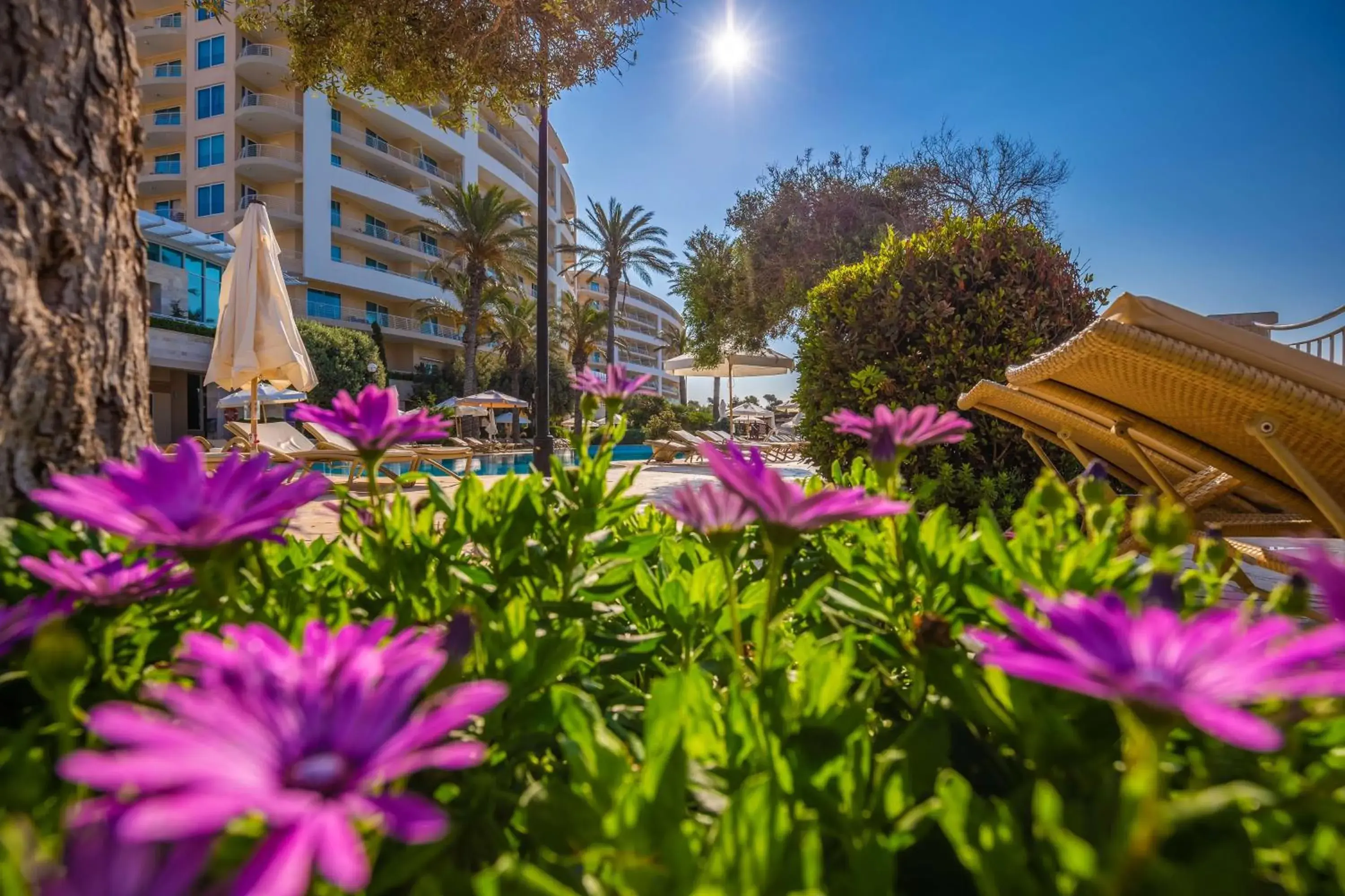 Pool view in Radisson Blu Resort & Spa, Malta Golden Sands Pool view in Radisson Blu Resort & Spa, Malta Golden Sands