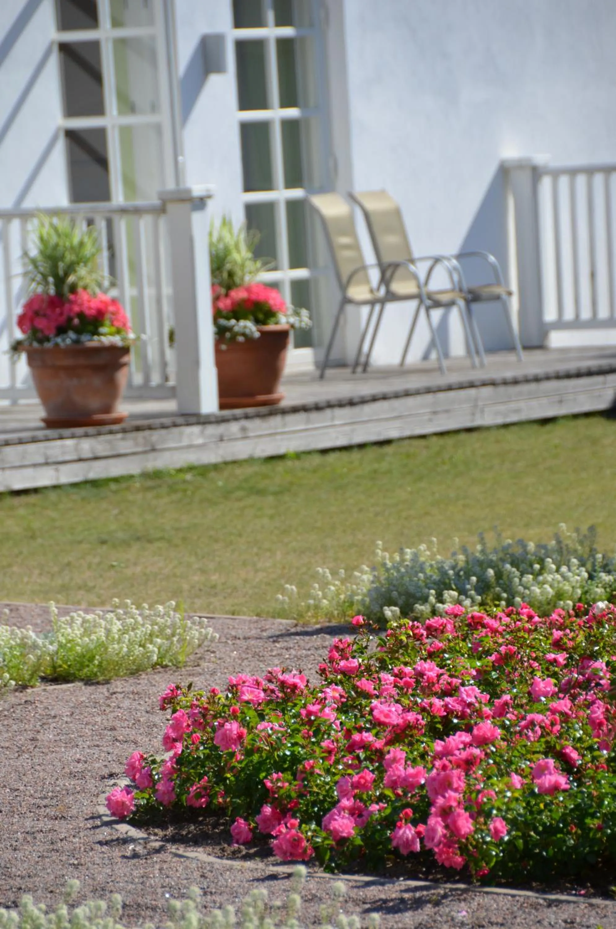 Garden in Sagadi Manor Hotel