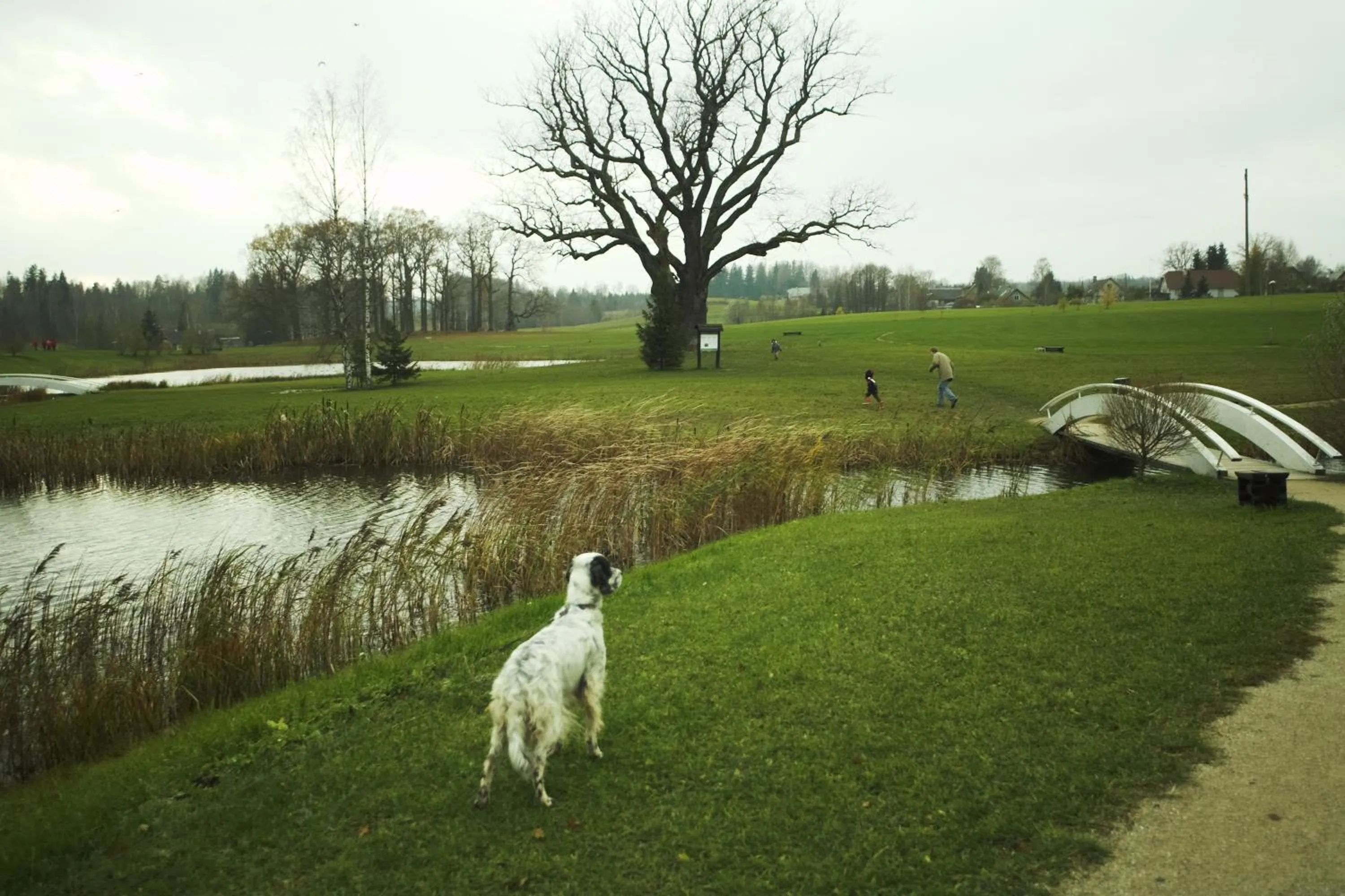 Area and facilities in Pühajärve Spa & Holiday Resort