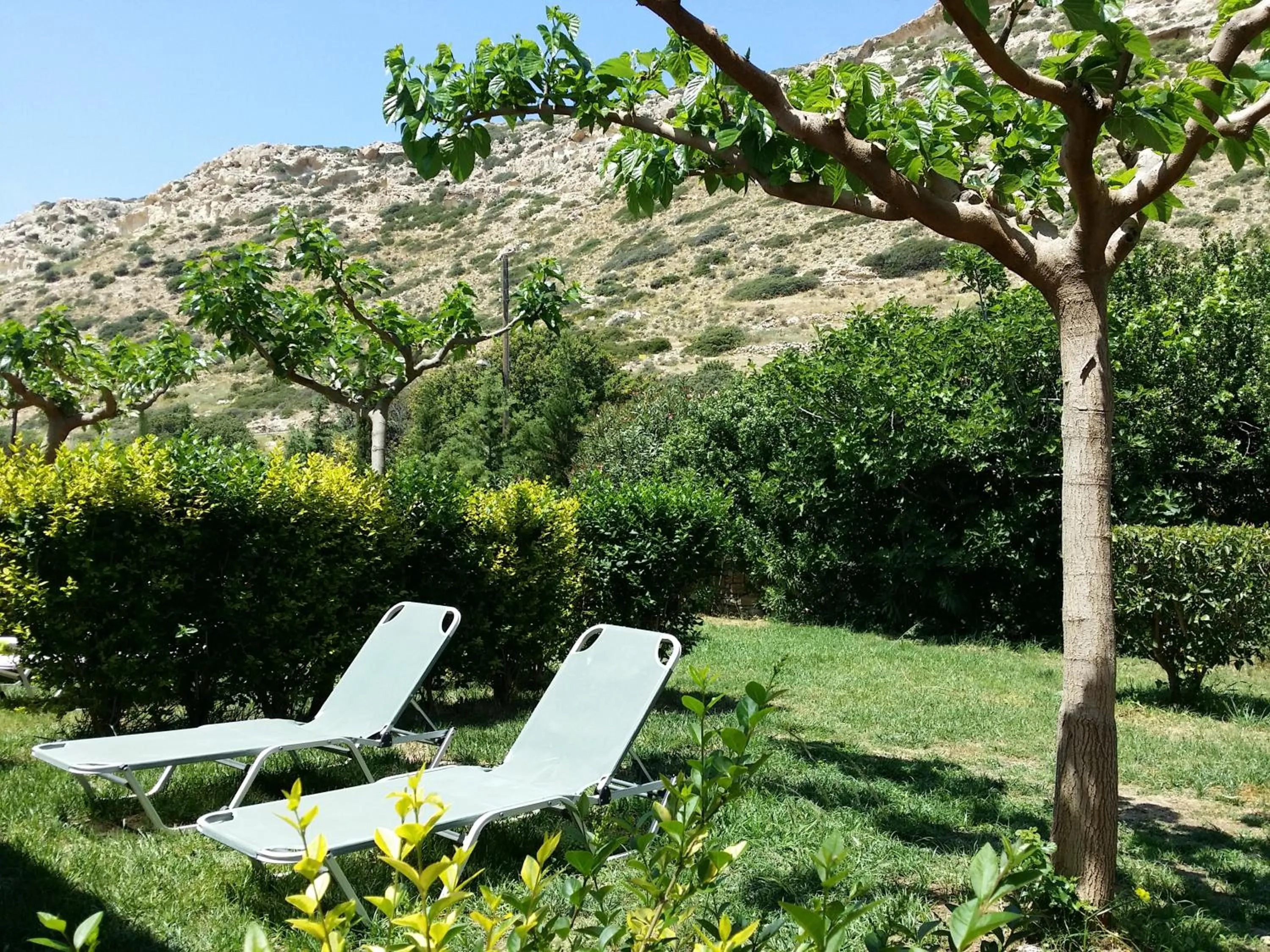 Garden in Valley Village