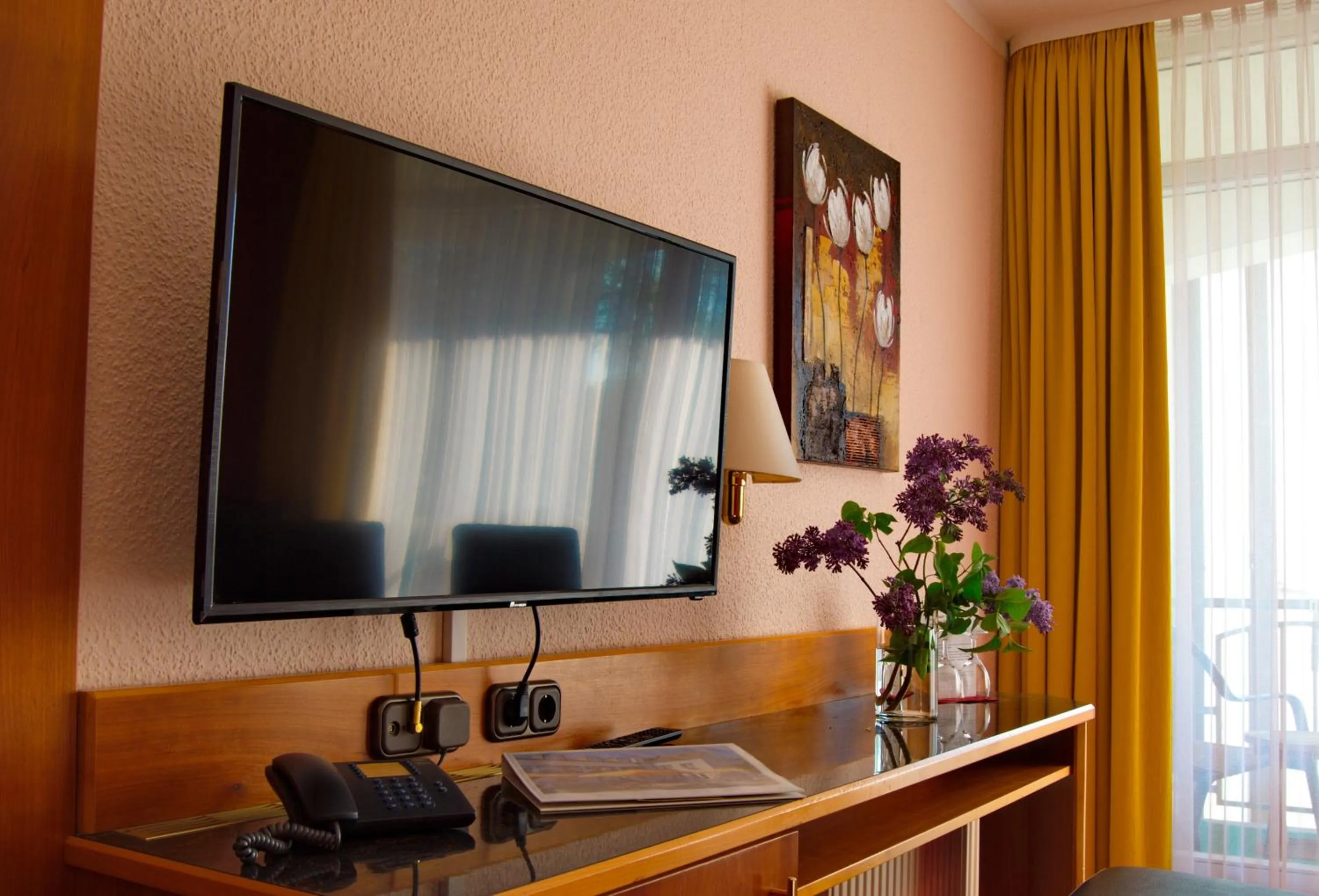 Double Room - single occupancy in Hotel Goldener Fasan