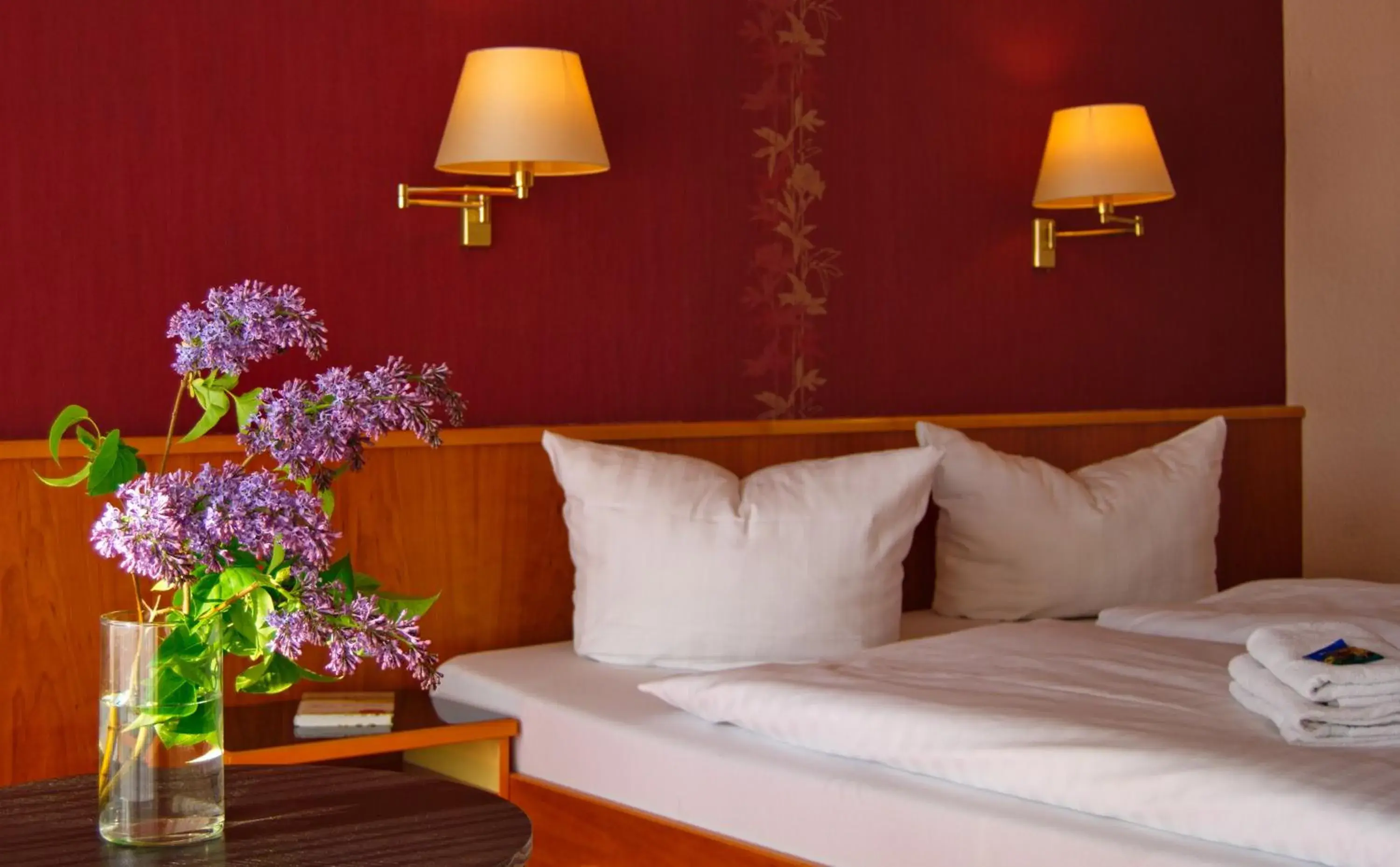 Double Room - single occupancy in Hotel Goldener Fasan Double Room - single occupancy in Hotel Goldener Fasan