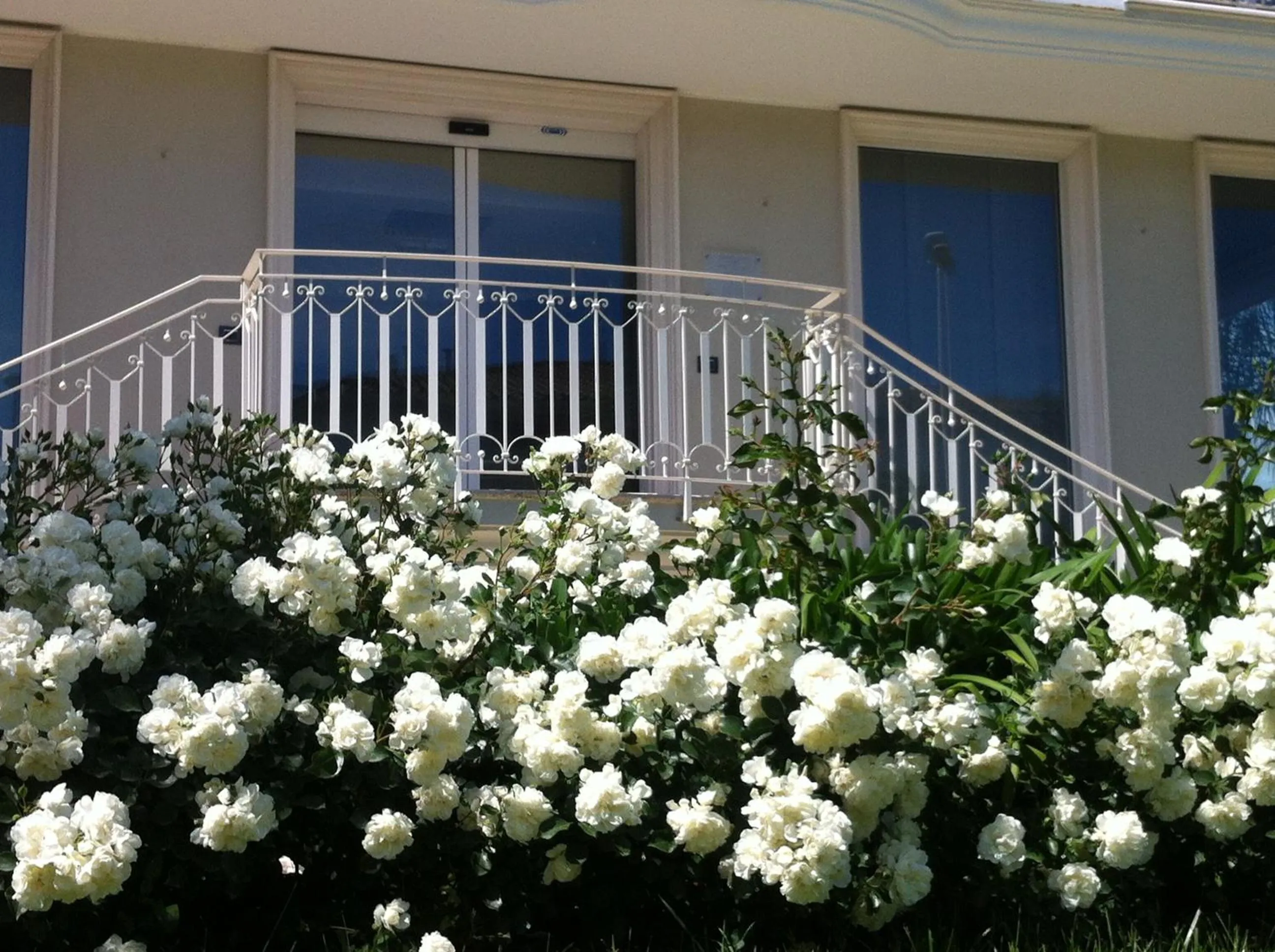 Decorative detail in Olympus Resort