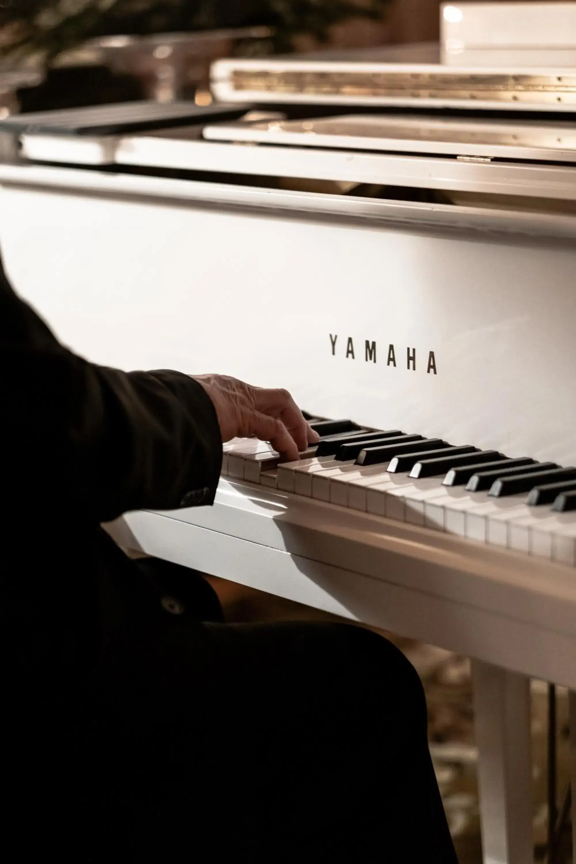 Lounge or bar in Alpes Hôtel du Pralong Lounge or bar in Alpes Hôtel du Pralong