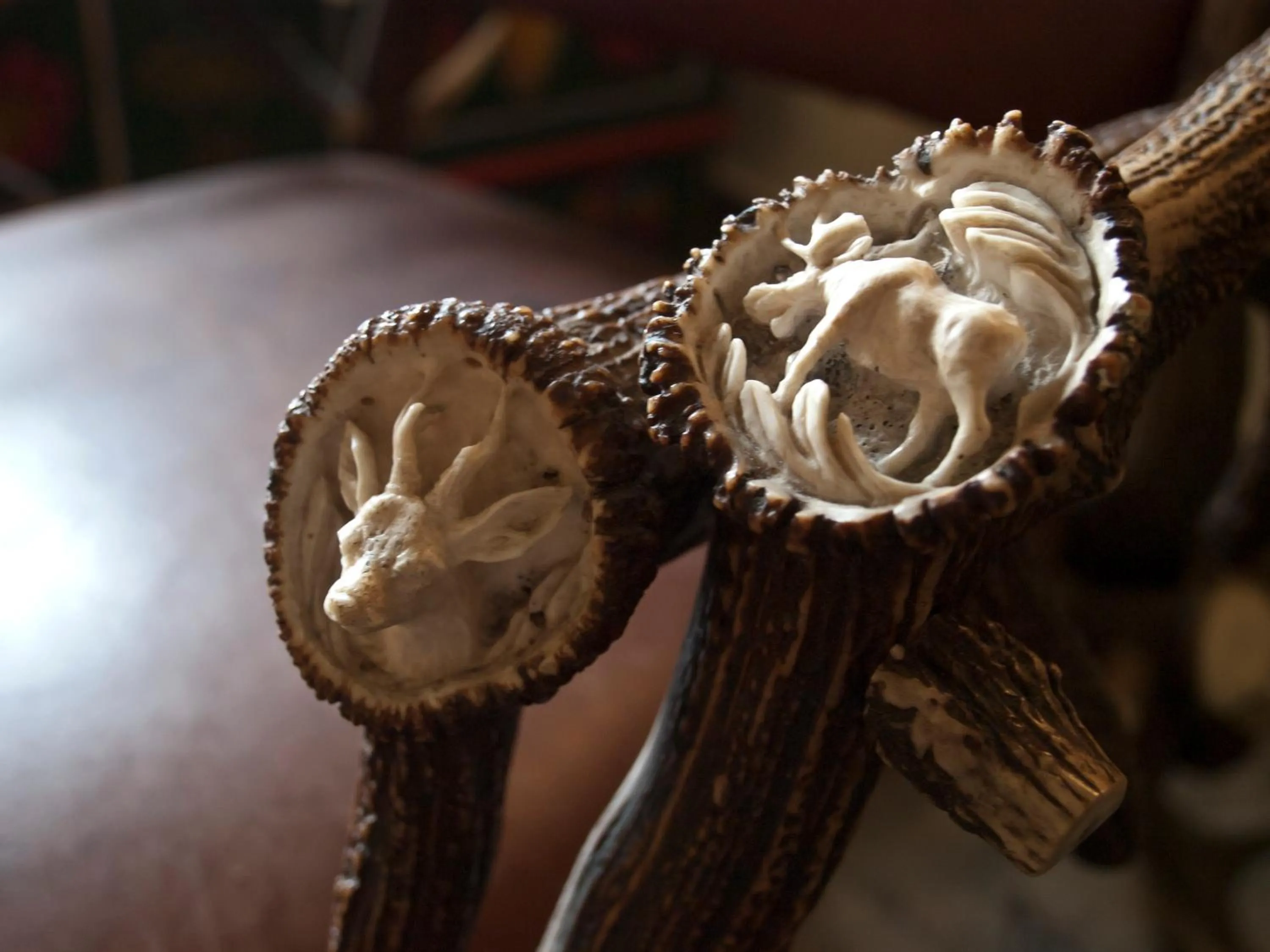 Decorative detail in Willa Orla