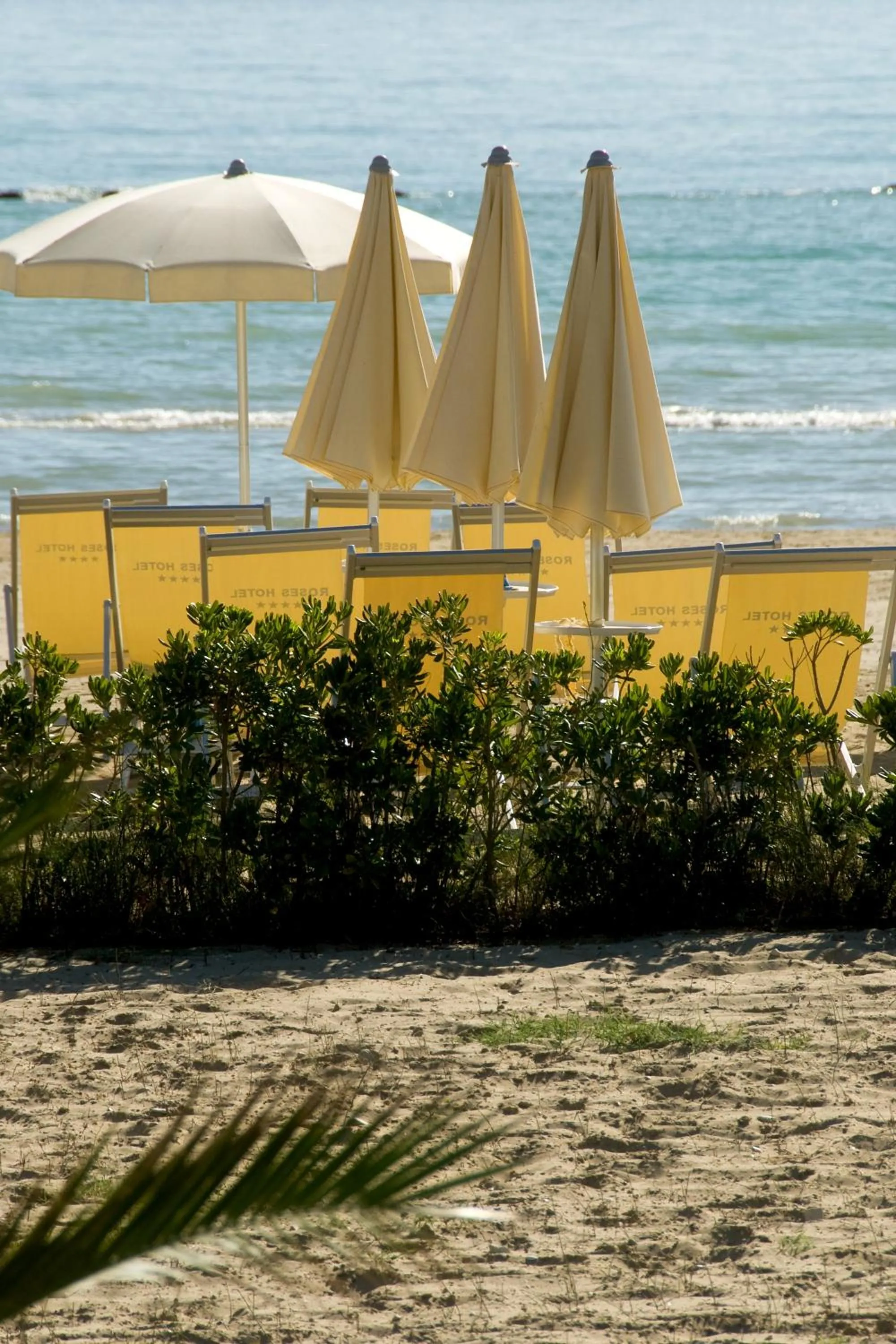 Beach in Roses Hotel