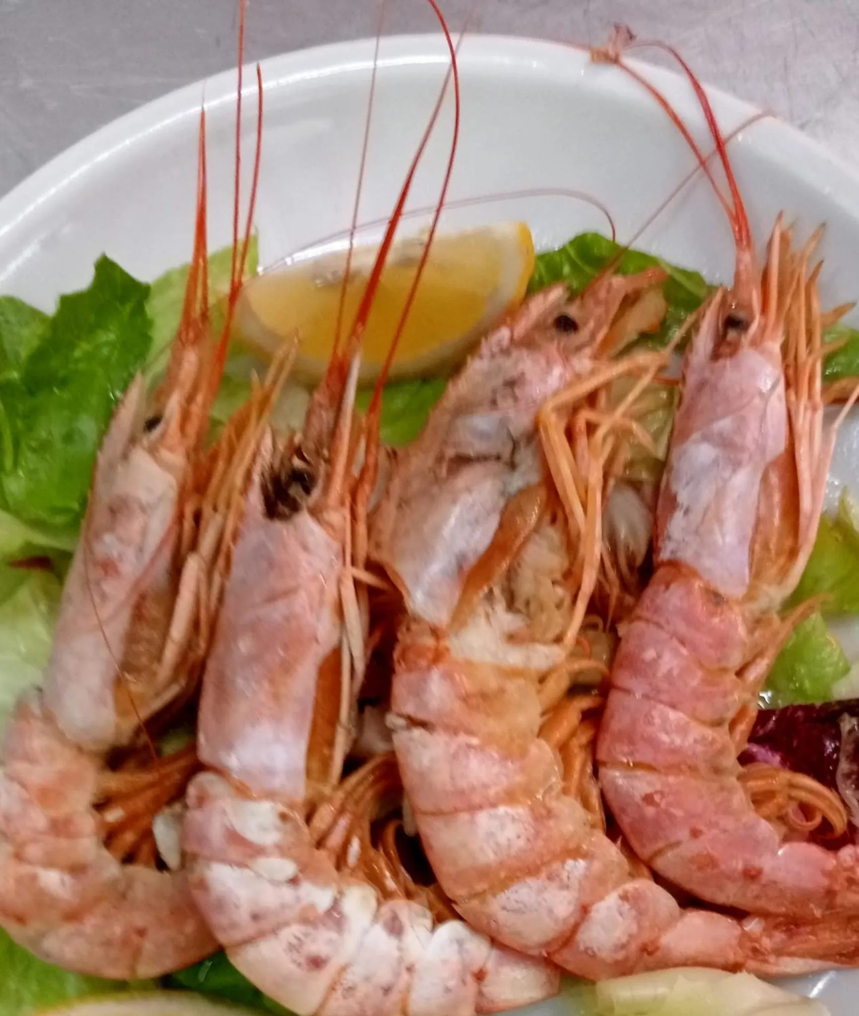 Food and drinks in Roses Hotel