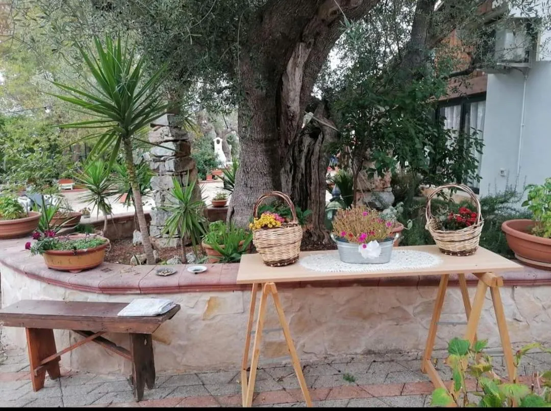 Property building in L'Isola Felice e Trulli Sotto Le Stelle